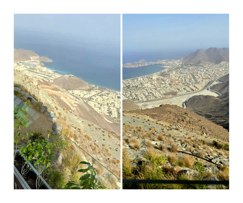 view (2).png
