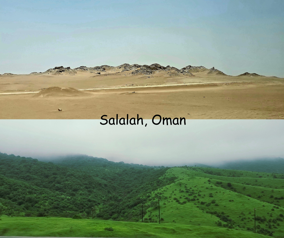 Salalah, Oman (1).png