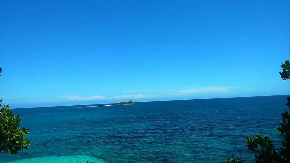 93.jpg