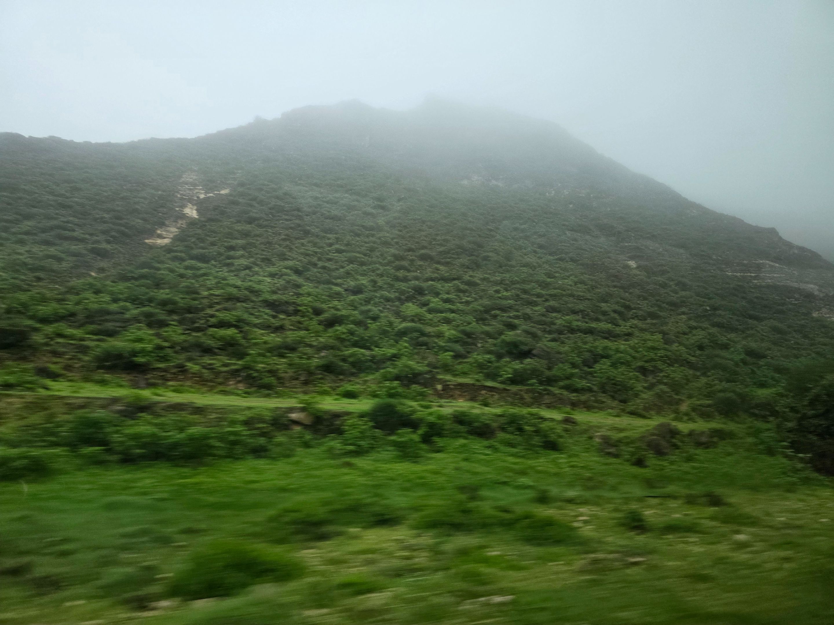 20250905_172046.jpg