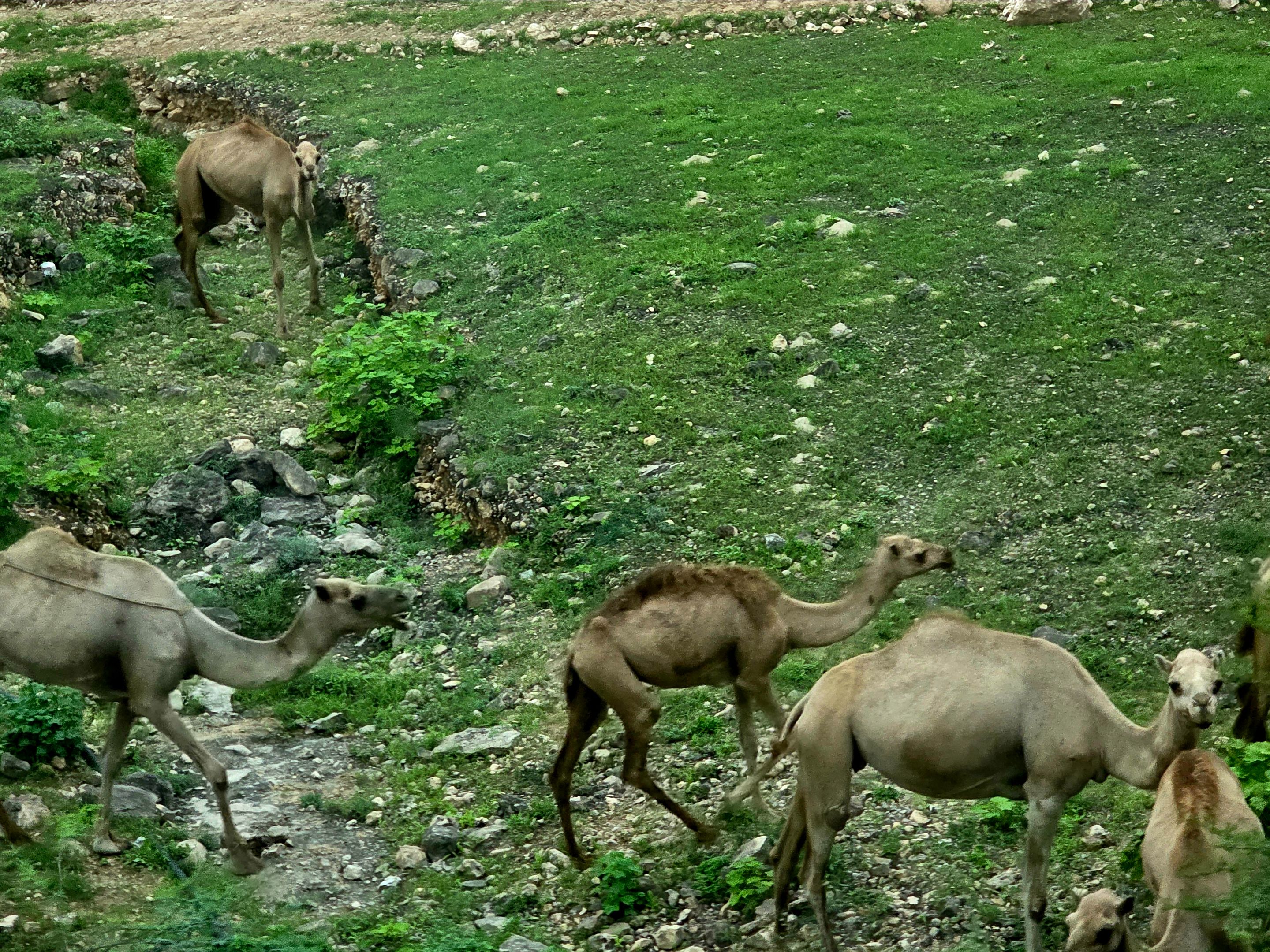 20250905_171653.jpg