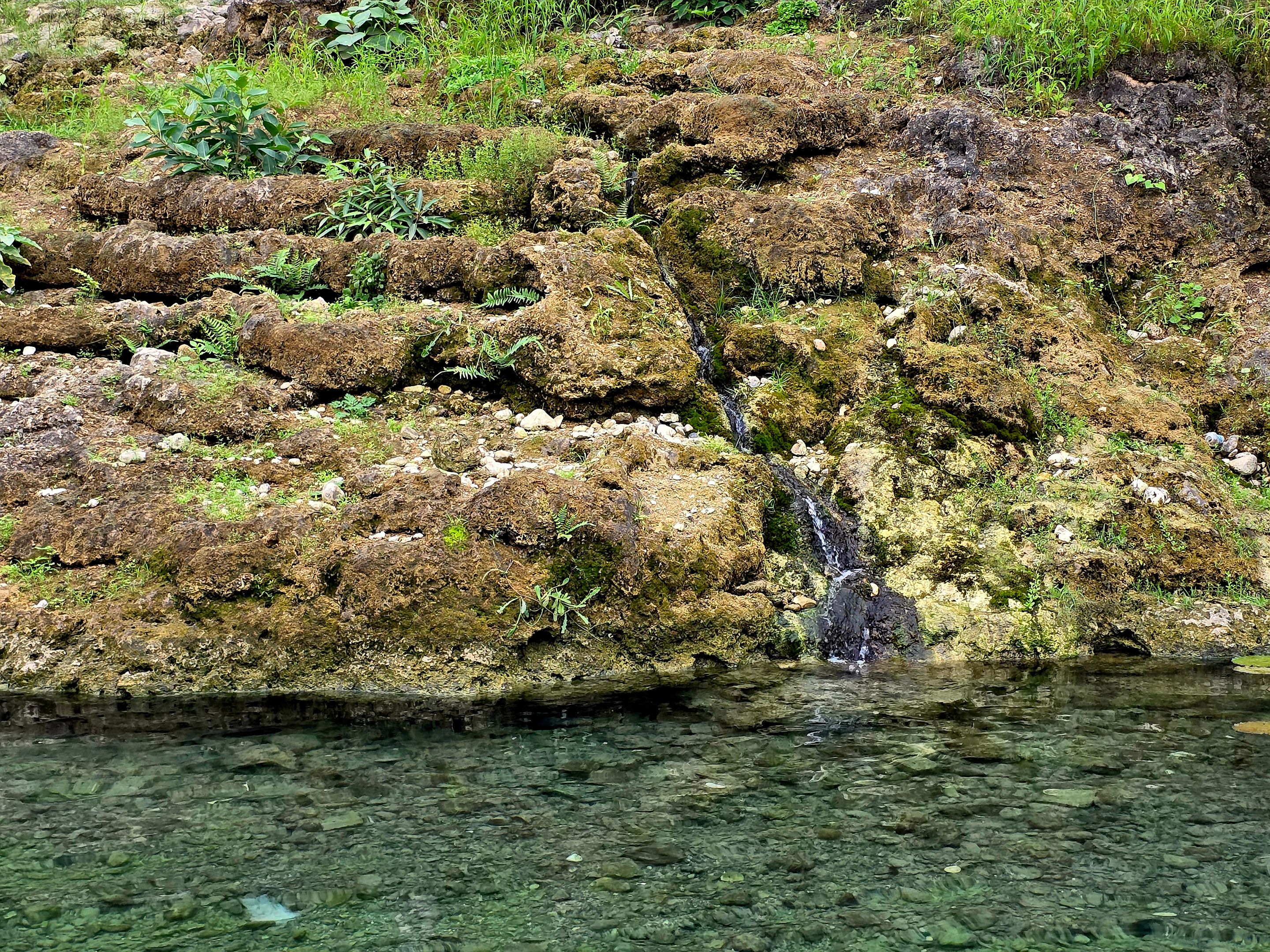 20250906_170813.jpg