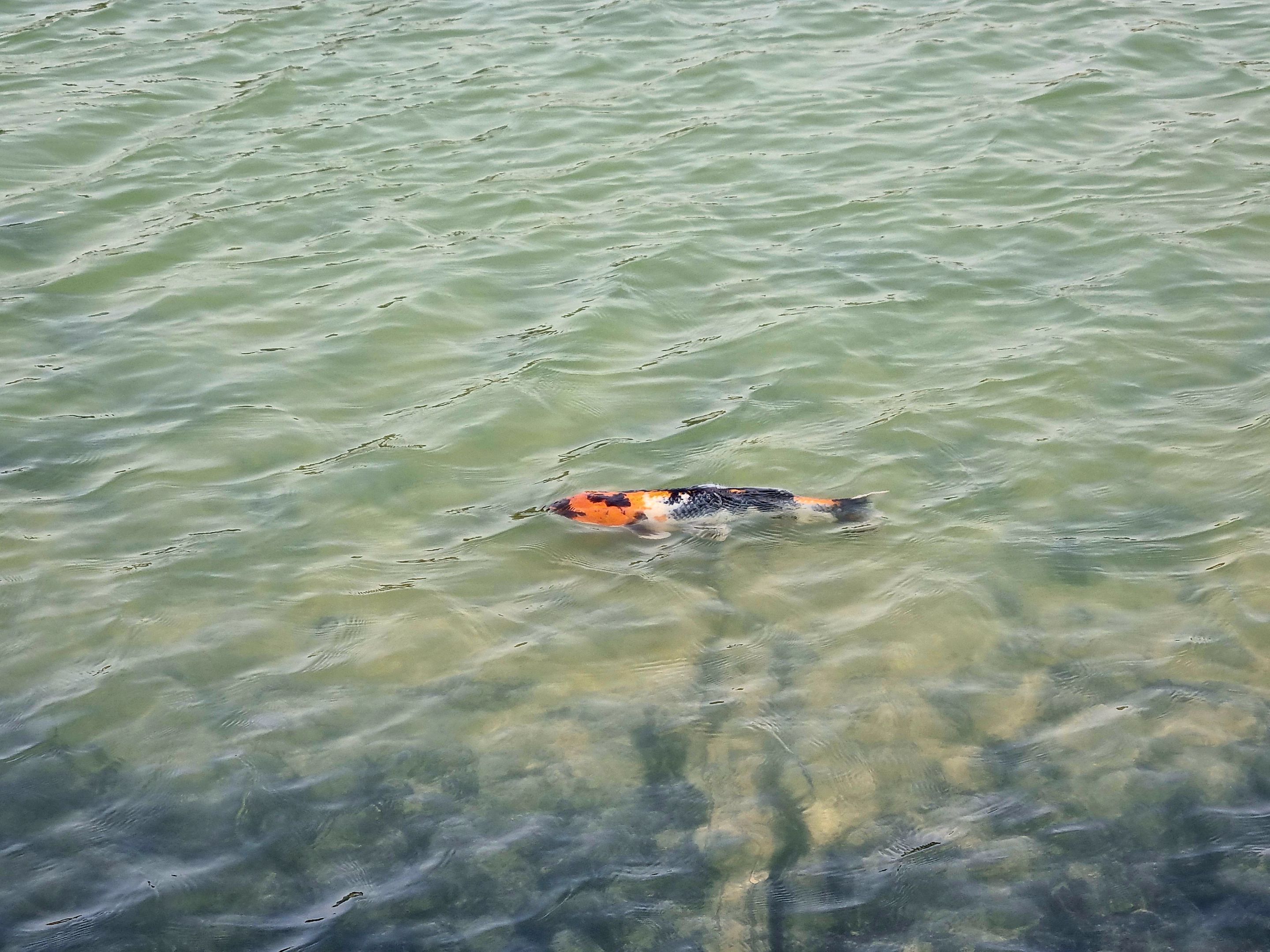 20250301_170753.jpg