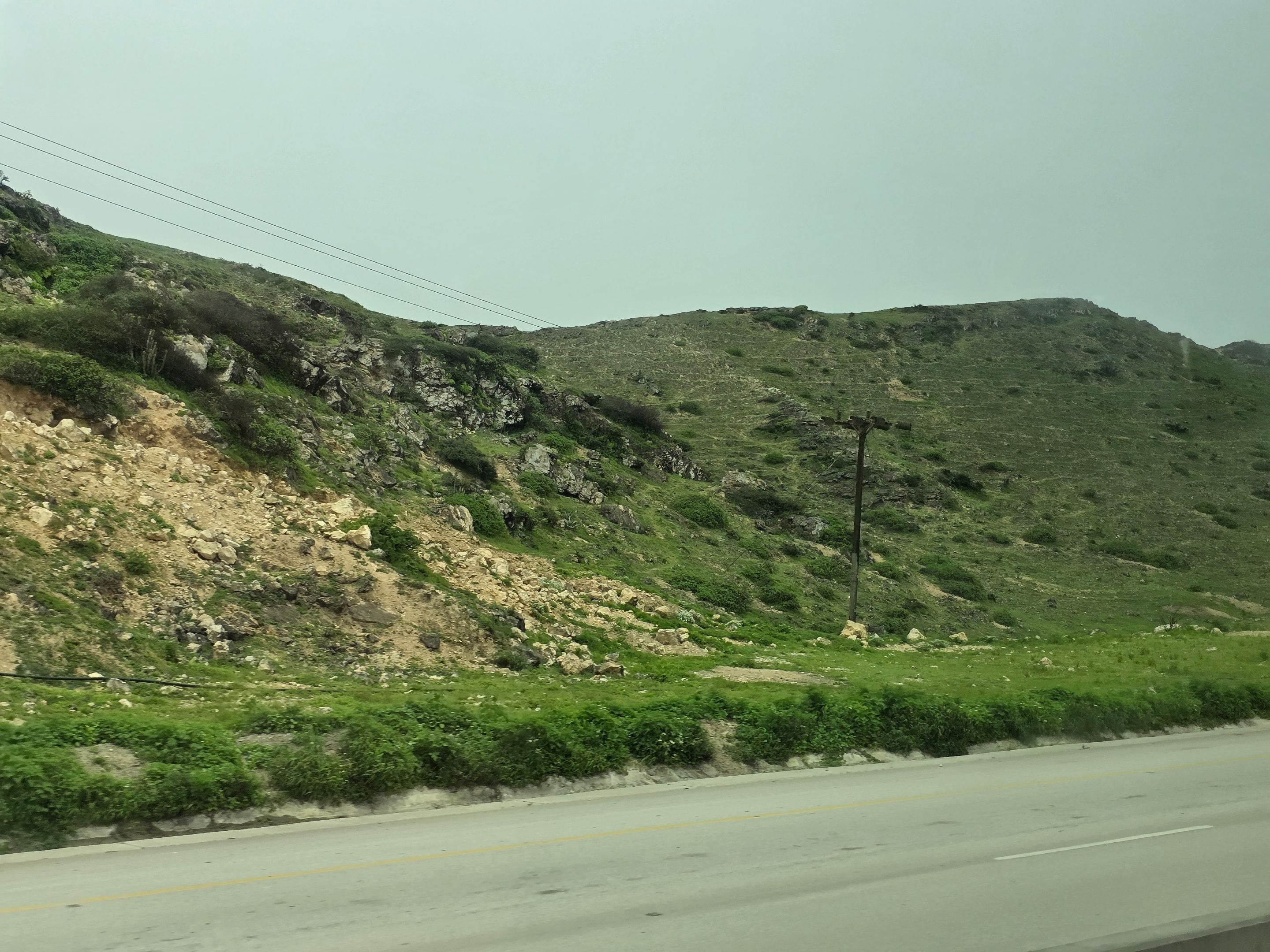 20250905_140552.jpg