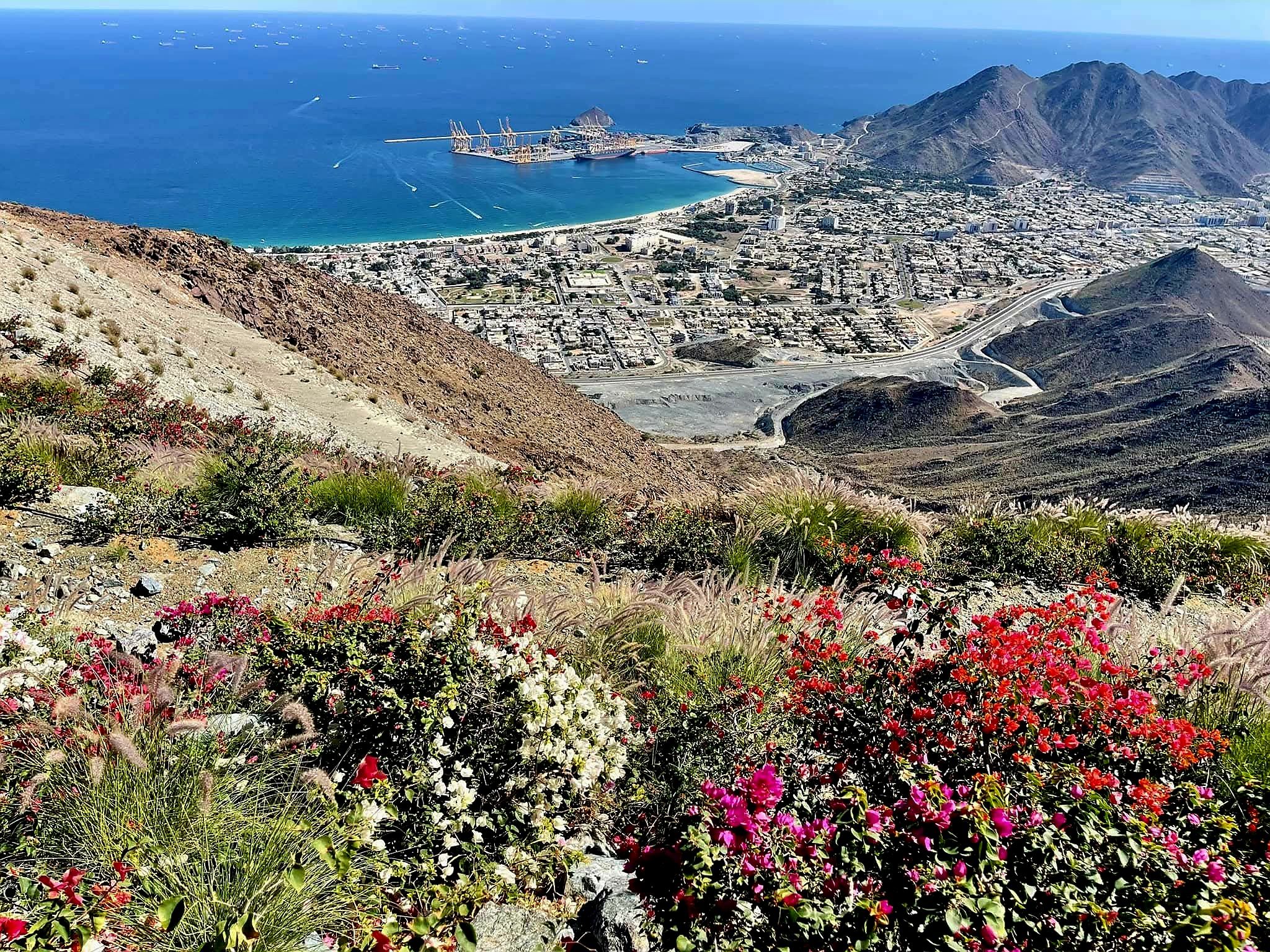 875.jpg