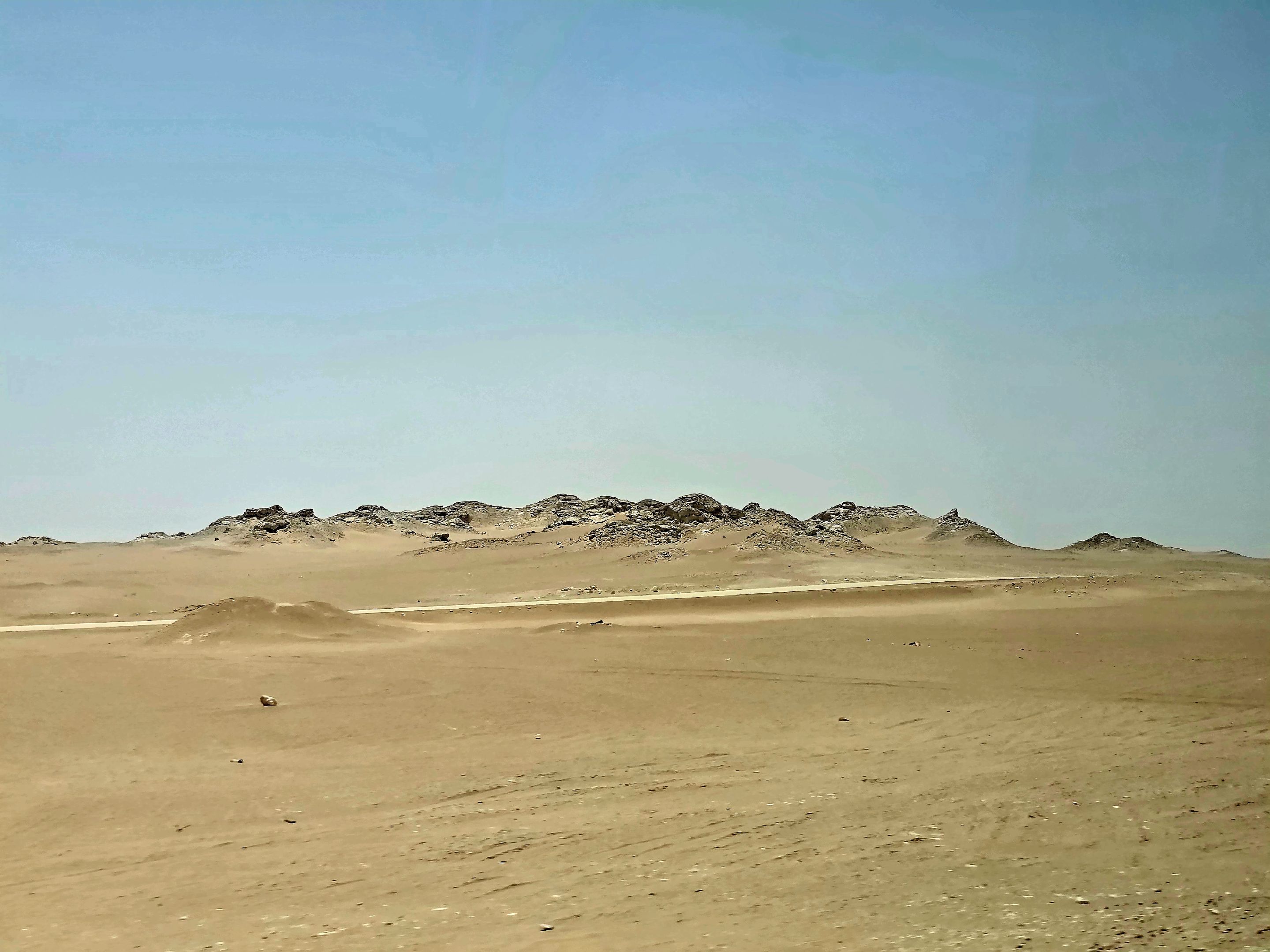 20250905_120126.jpg