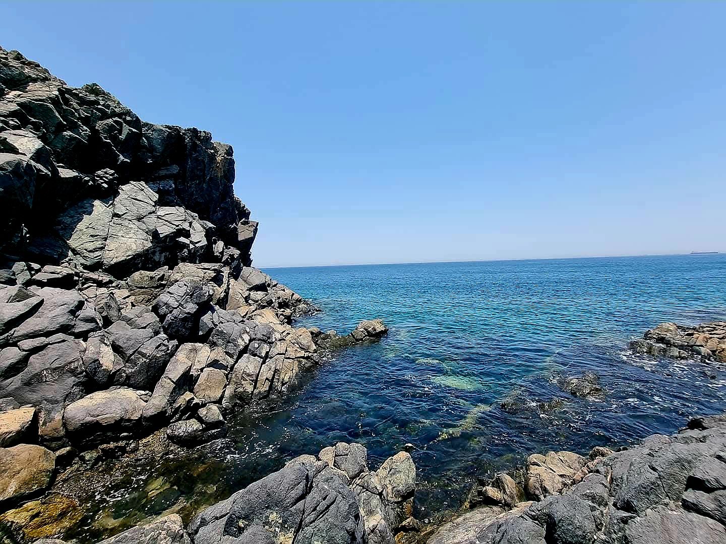 896.jpg