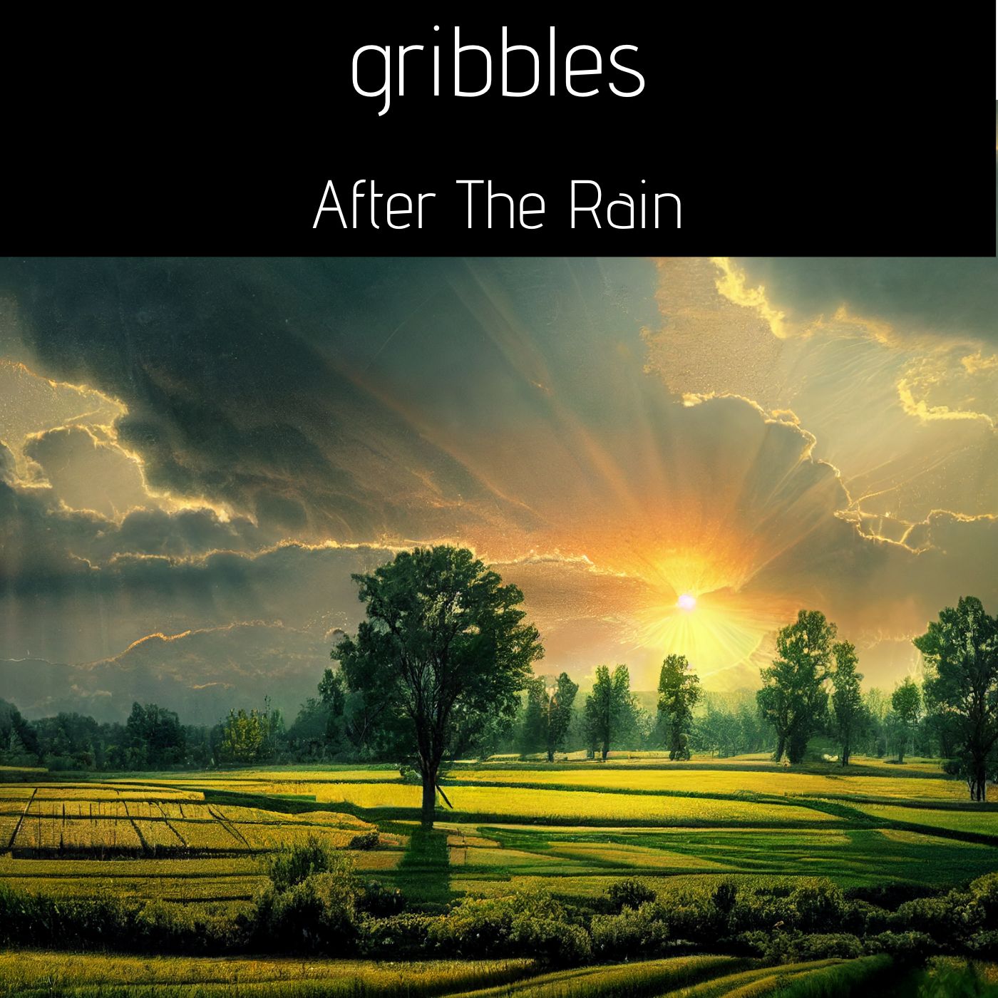 After the Rain.jpg