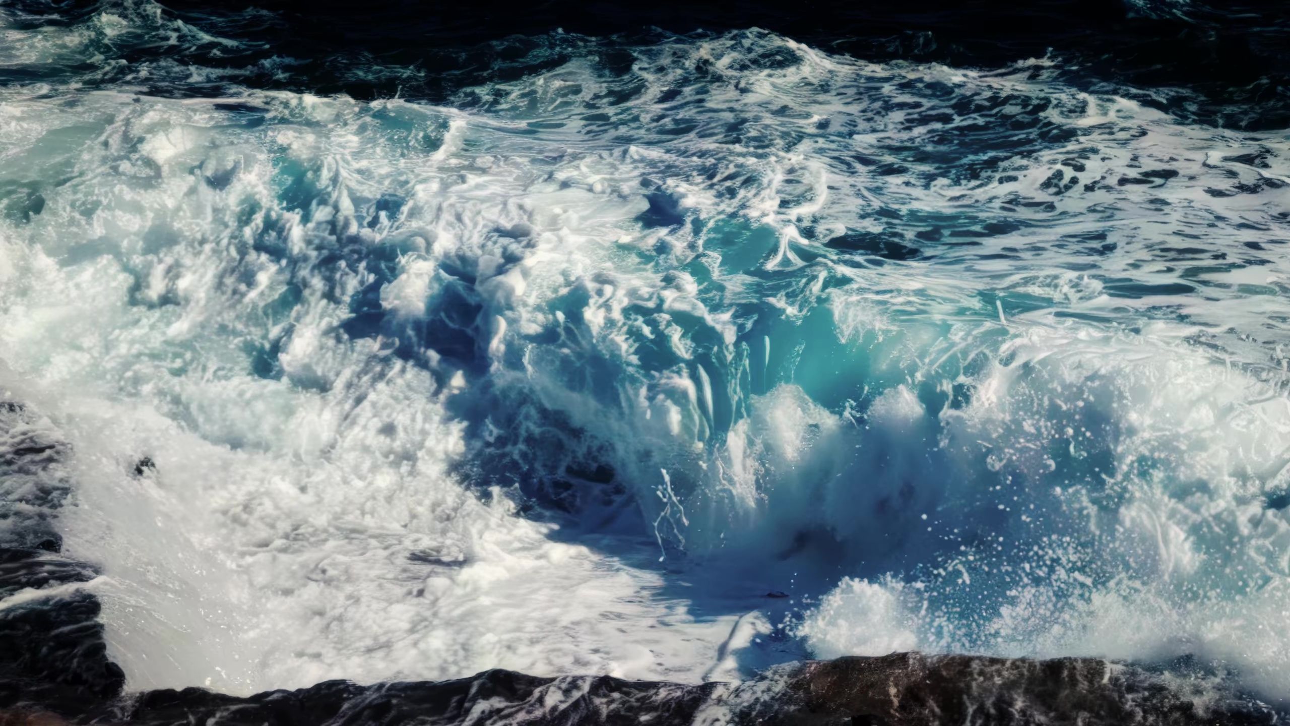 vlcsnap-2023-04-10-14h51m58s643.jpg