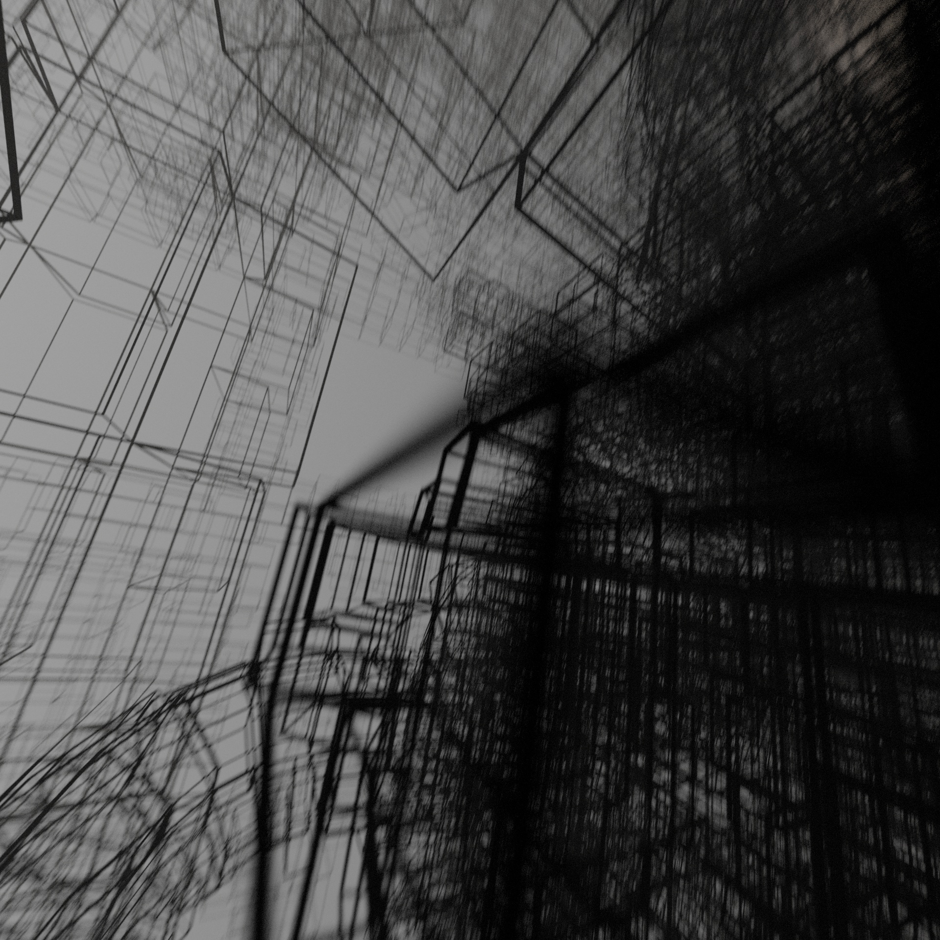 p8.jpg
