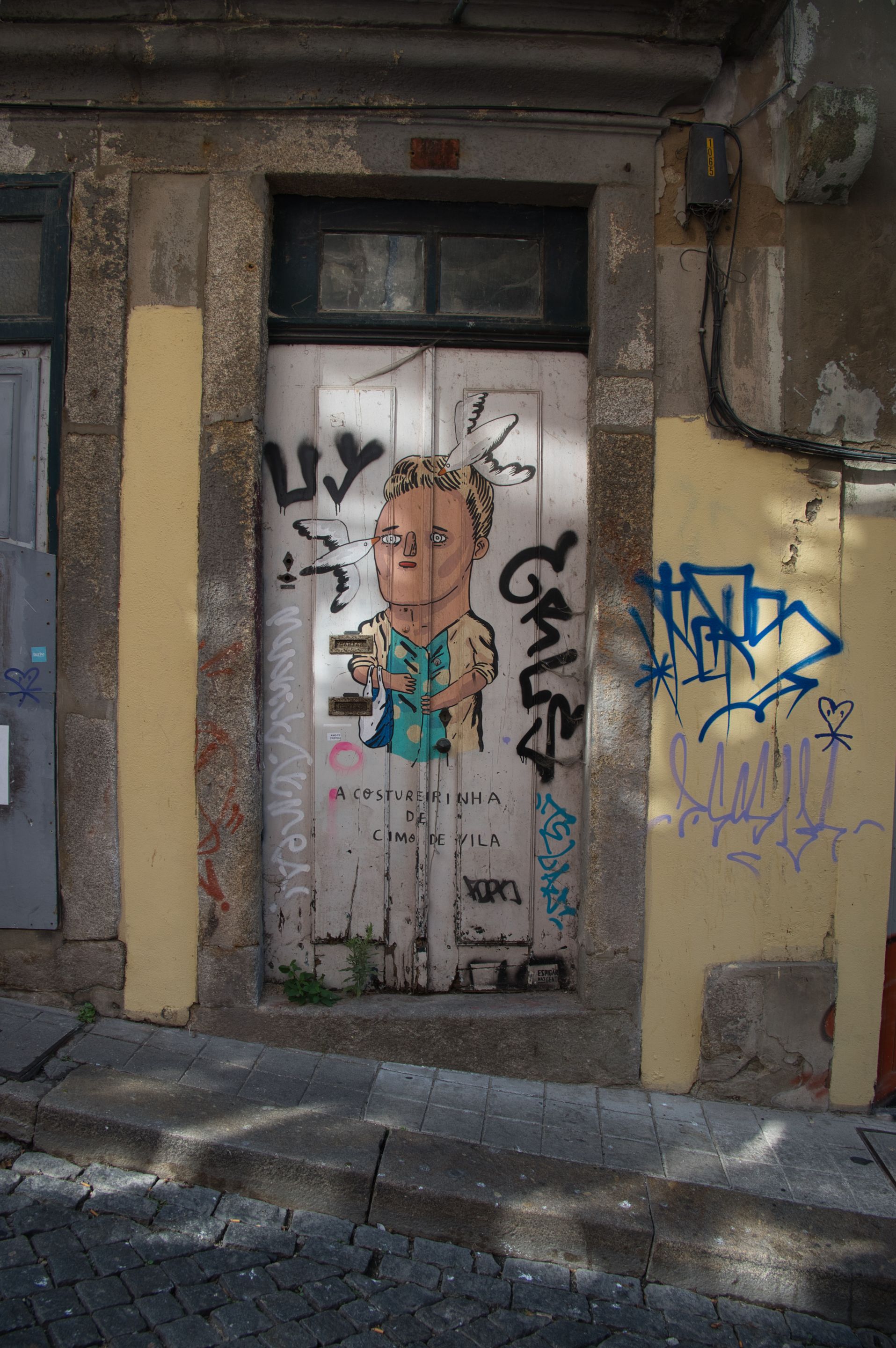 _DSC3479.jpeg