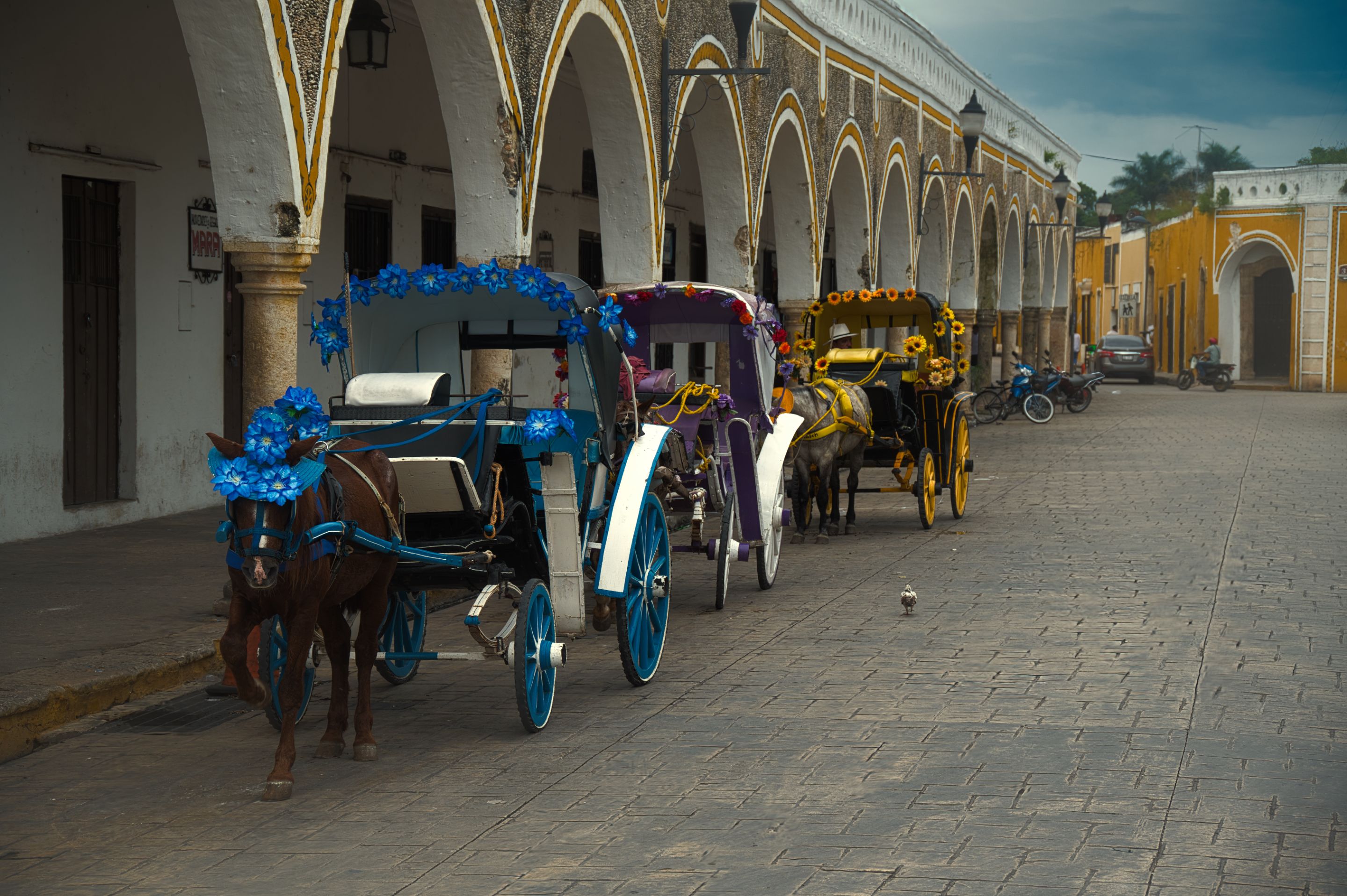 Matching sun hats and carriages