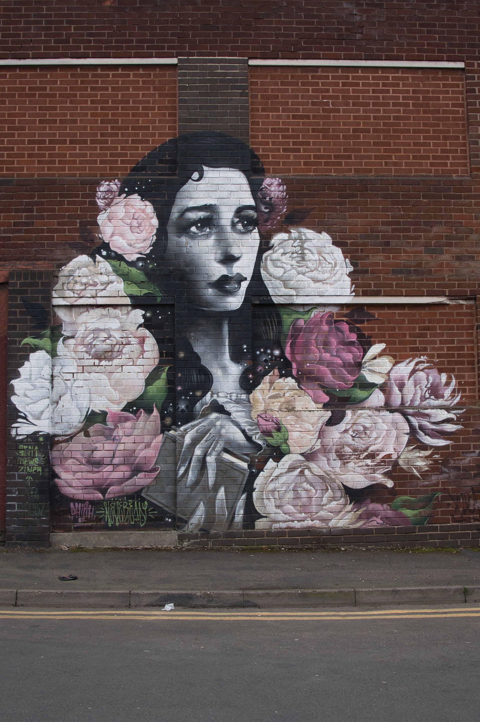 _DSC0333.jpeg