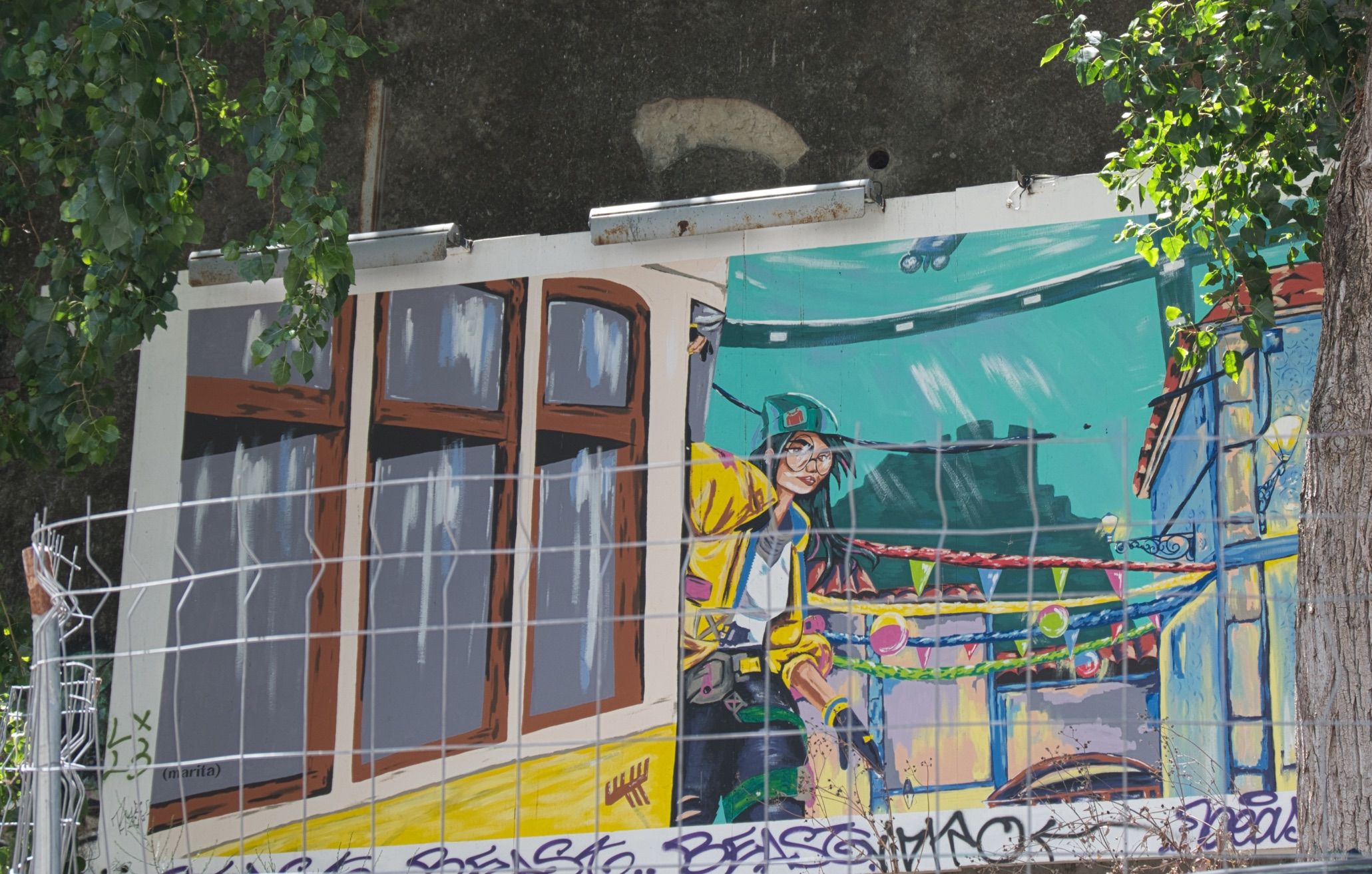 _DSC3277.jpeg