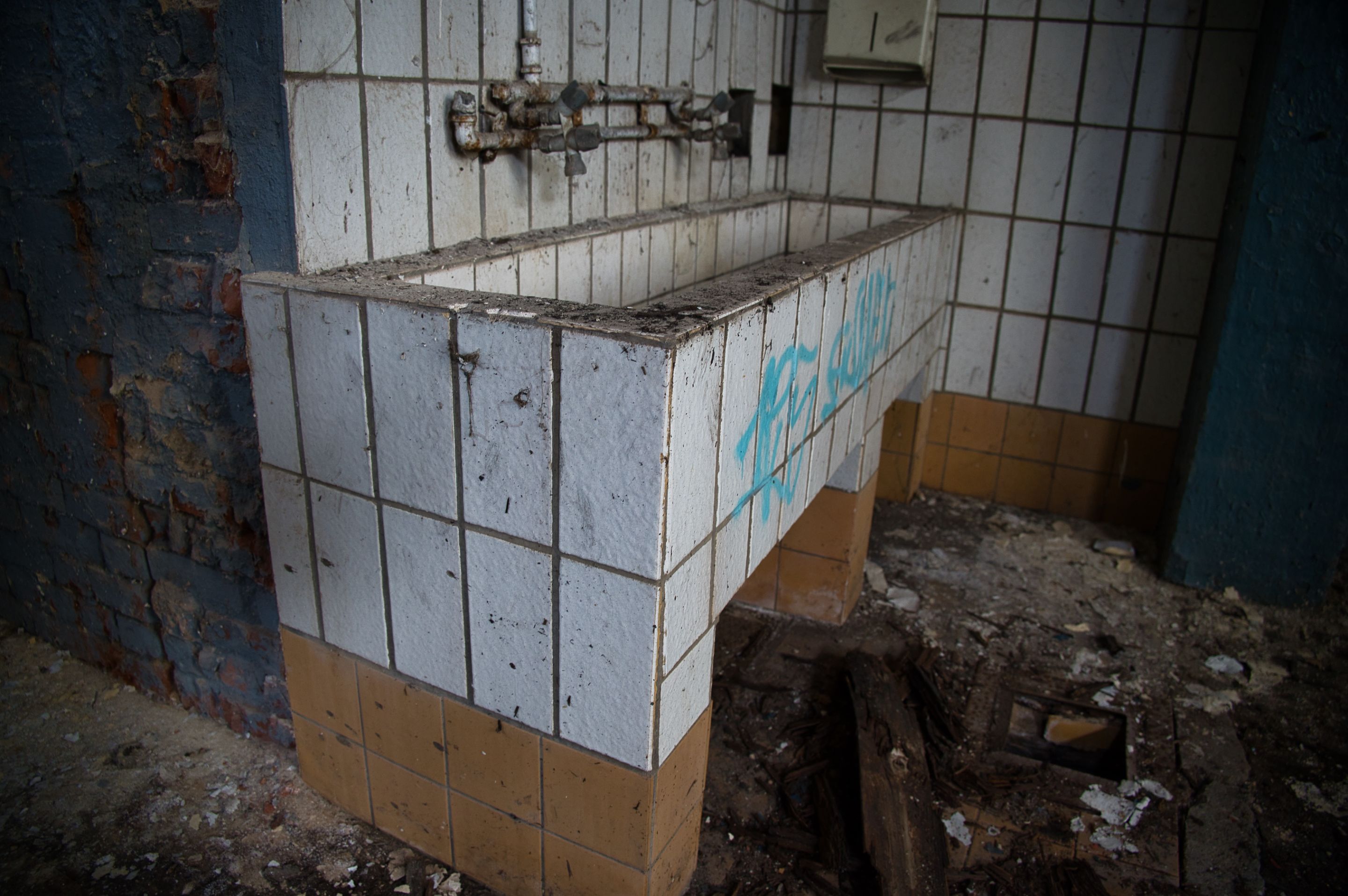 _DSC0979.jpeg