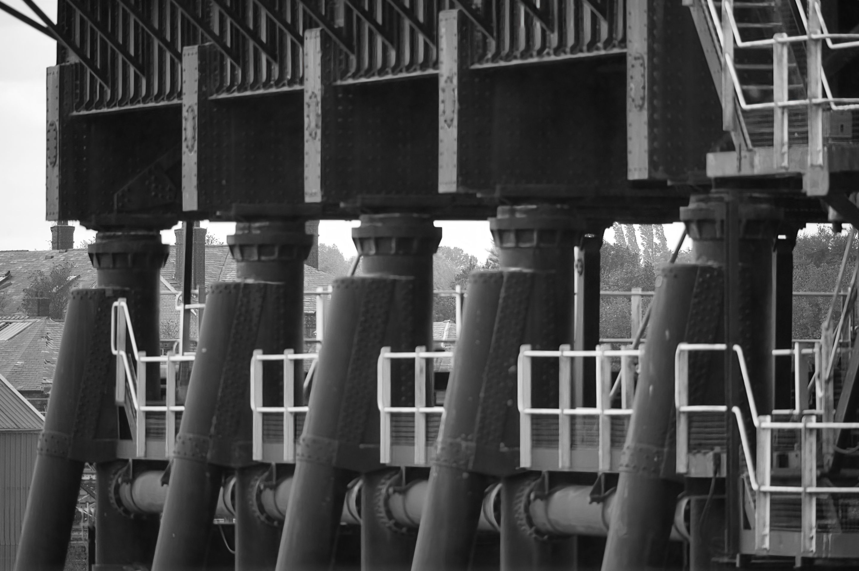 _DSC4496.jpeg