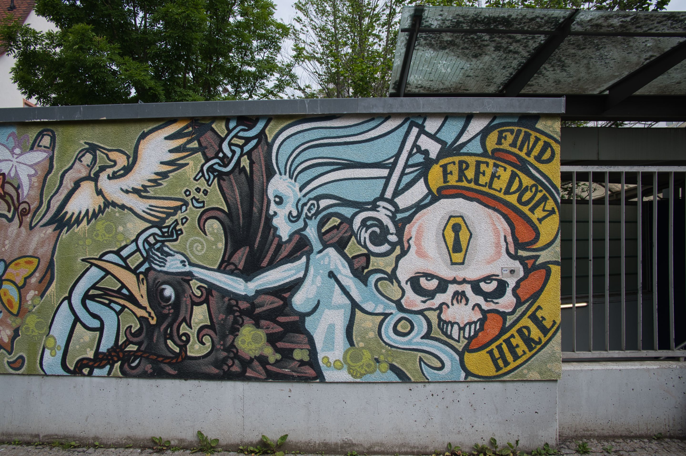 _DSC0541.jpeg
