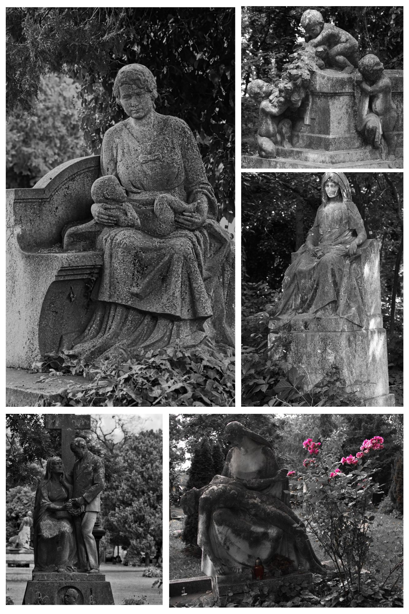Brown Floral Mood Board Photo Collage (1).jpg