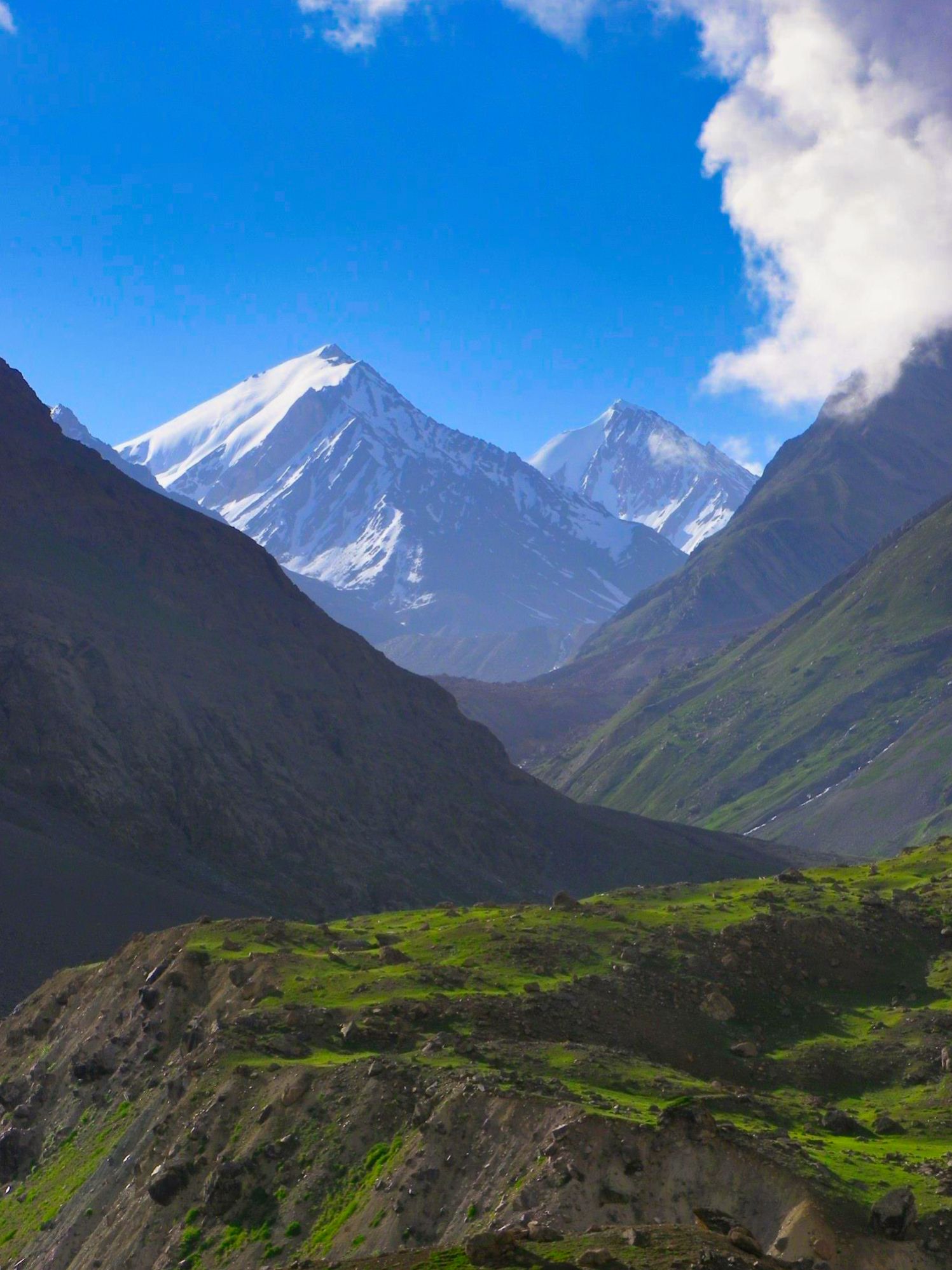 rohtan48.jpeg