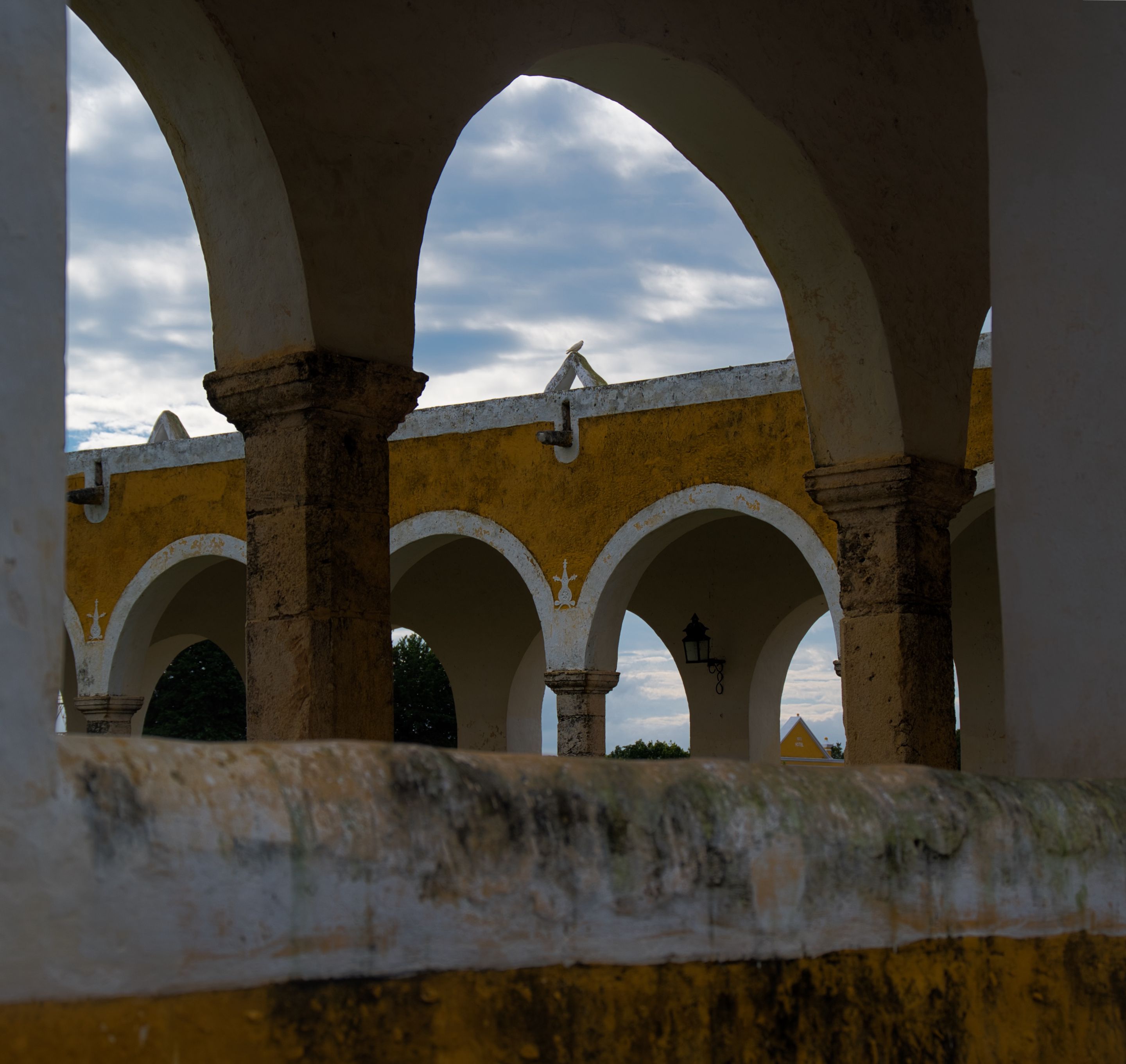 _DSC9475.jpeg