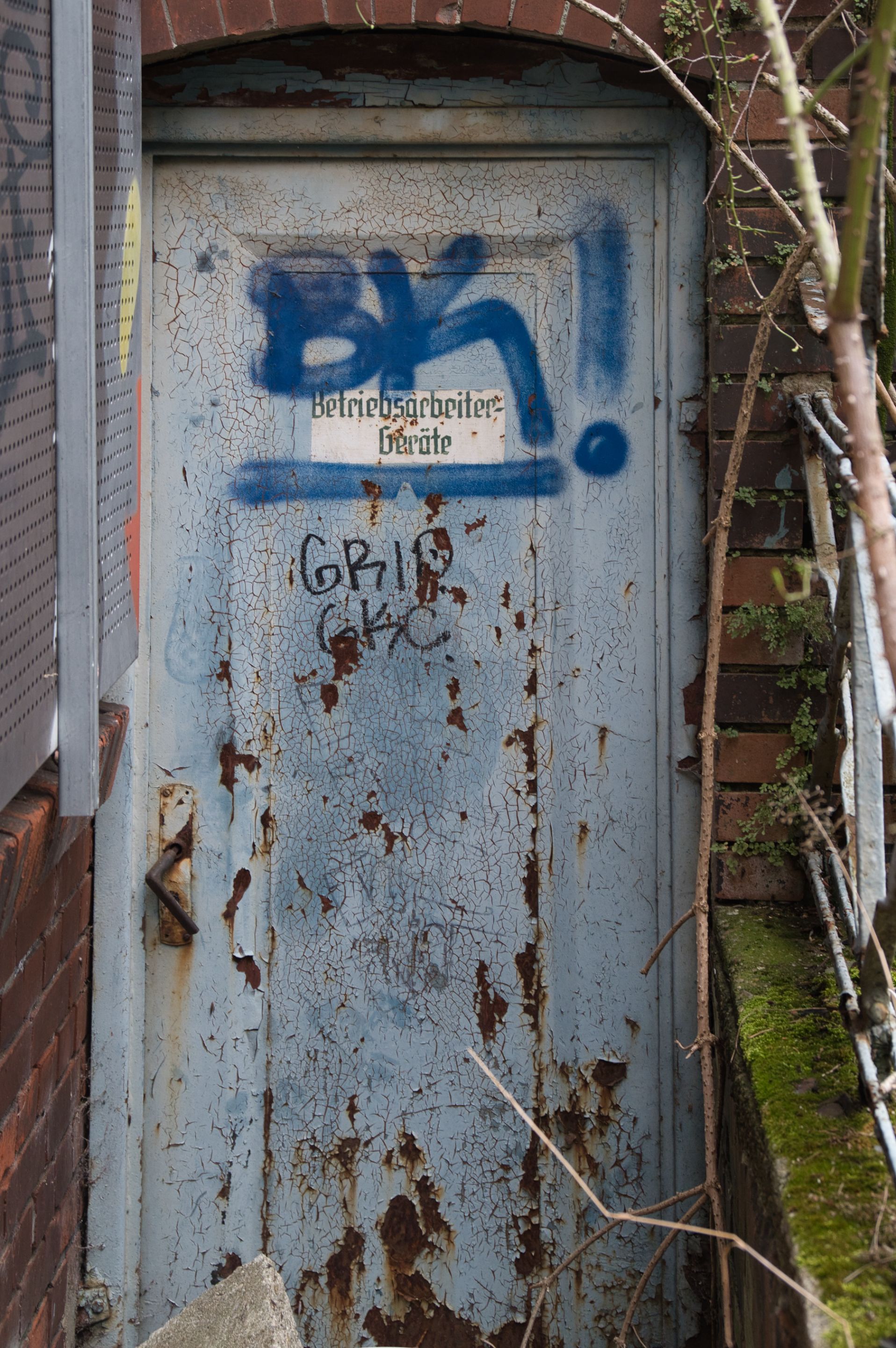 _DSC0913.jpeg