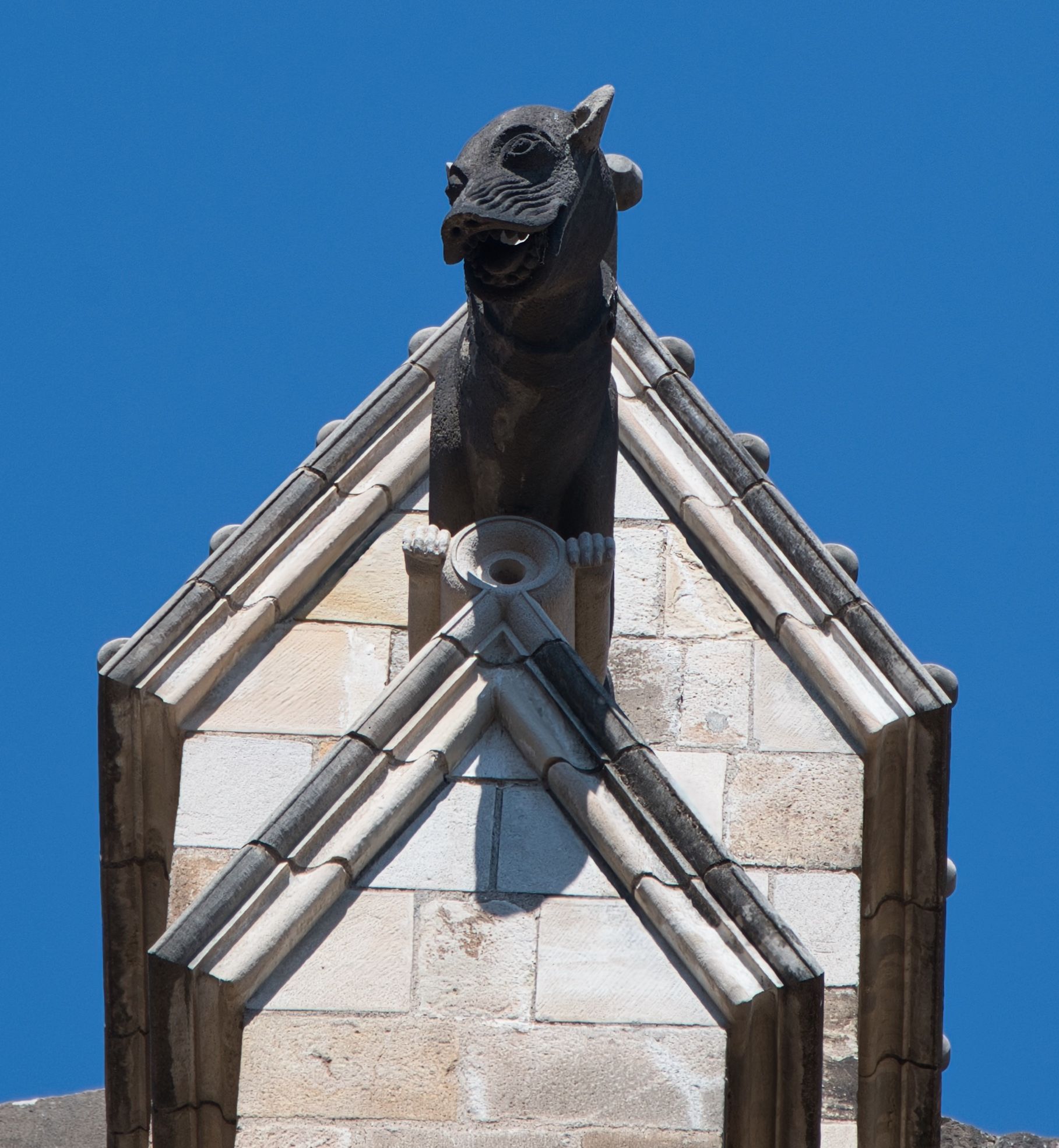 _DSC1951.jpeg