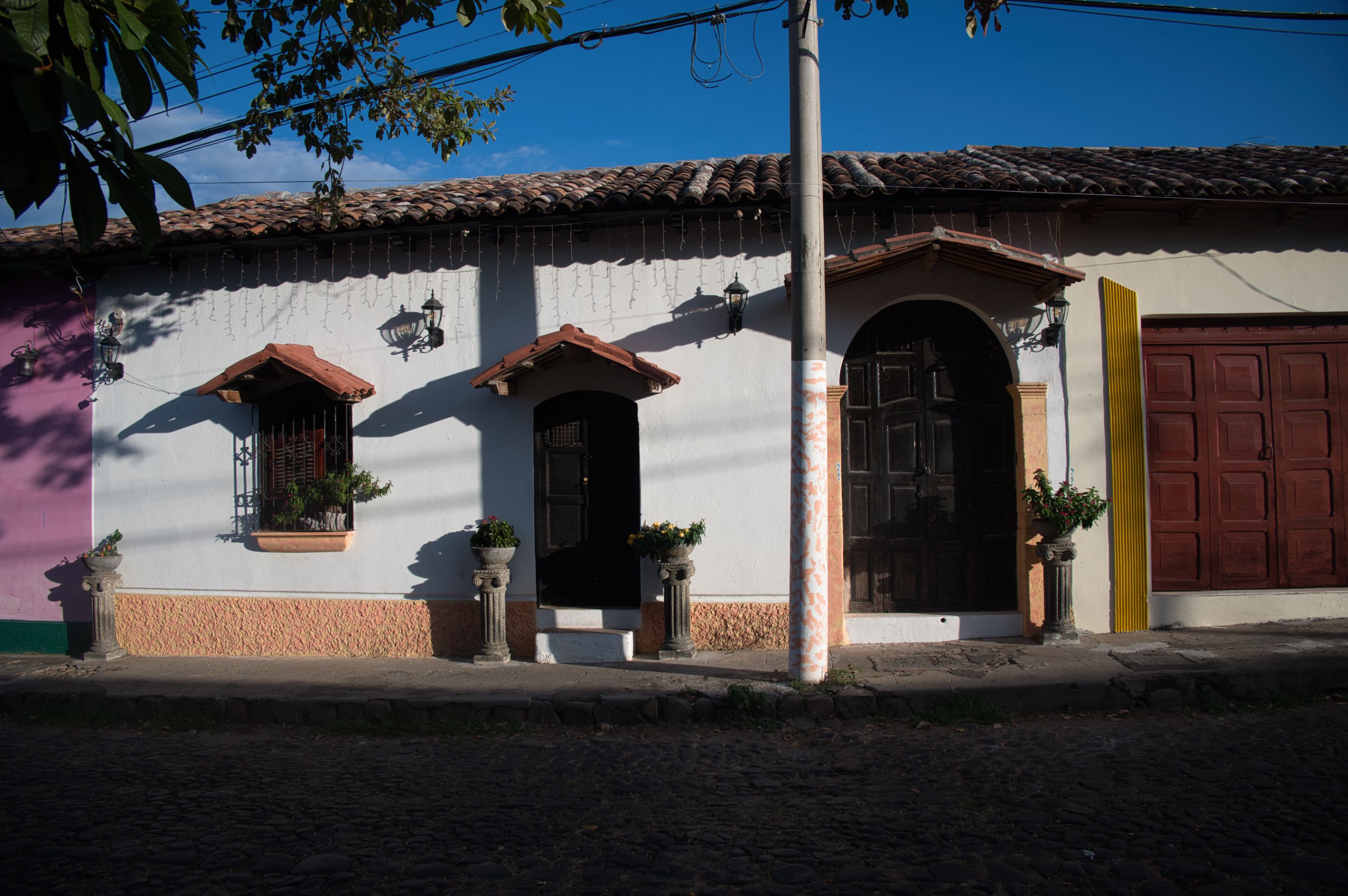 _DSC0232.jpeg