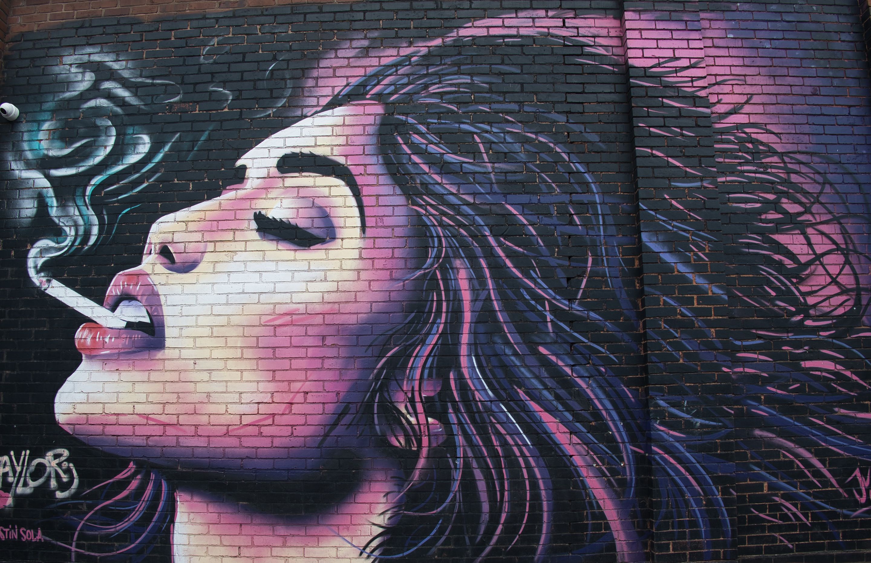 _DSC0322.jpeg