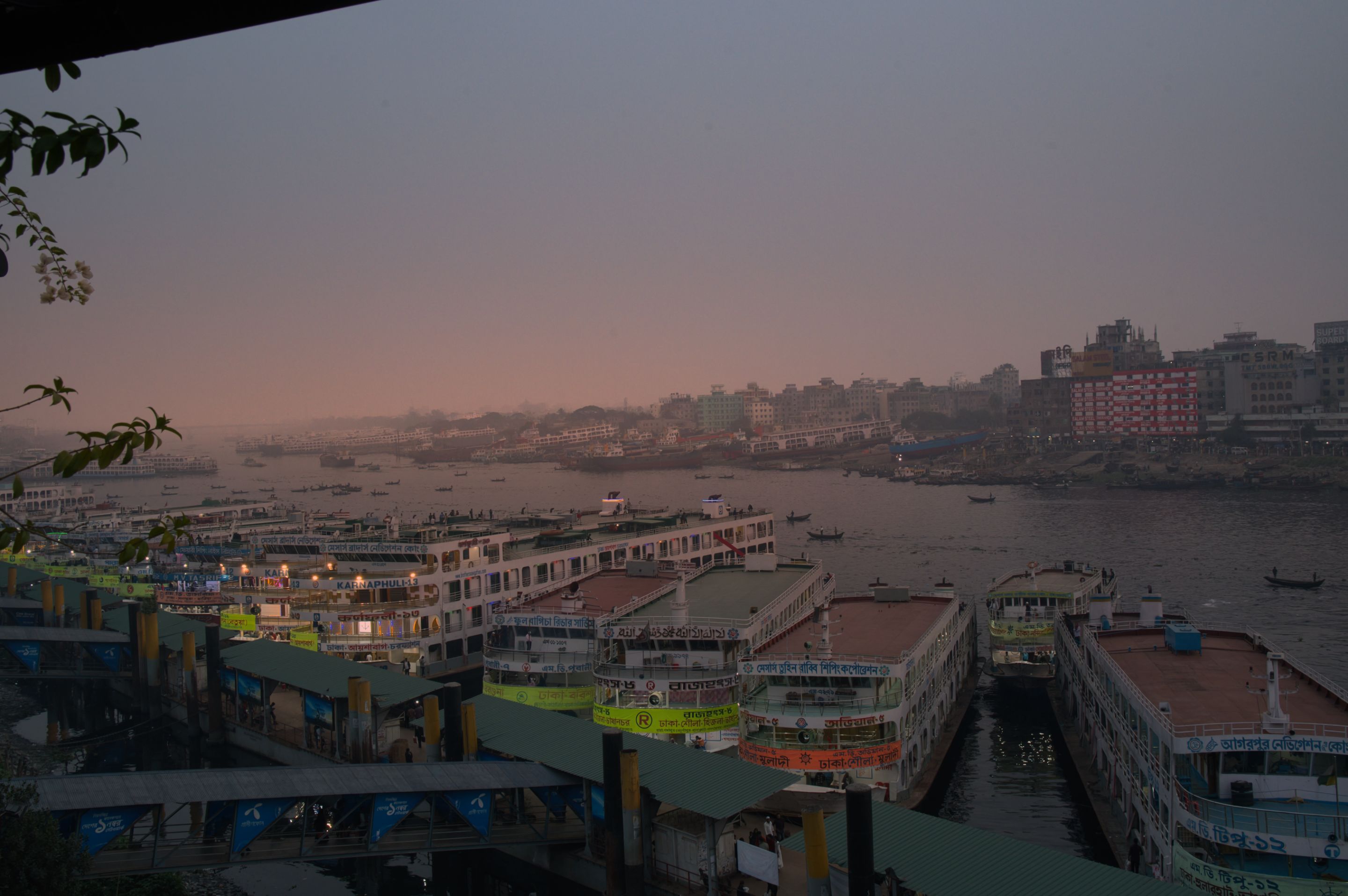 _DSC6577.jpeg