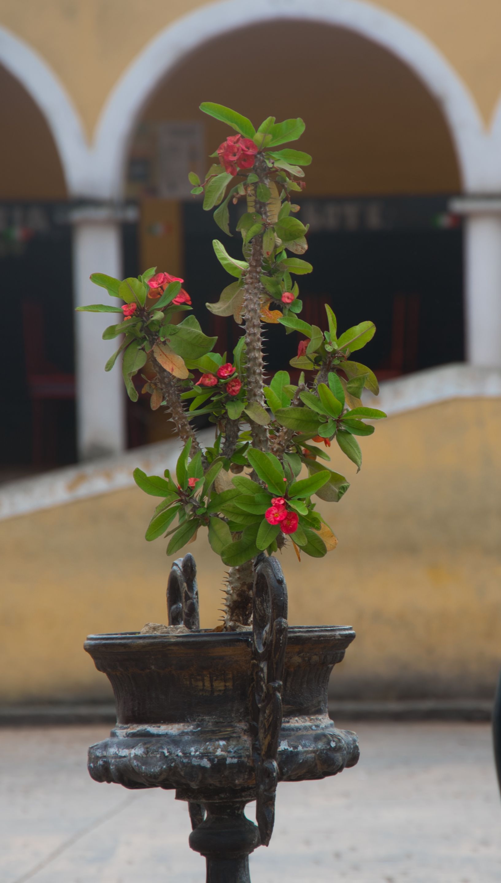 _DSC9453.jpeg