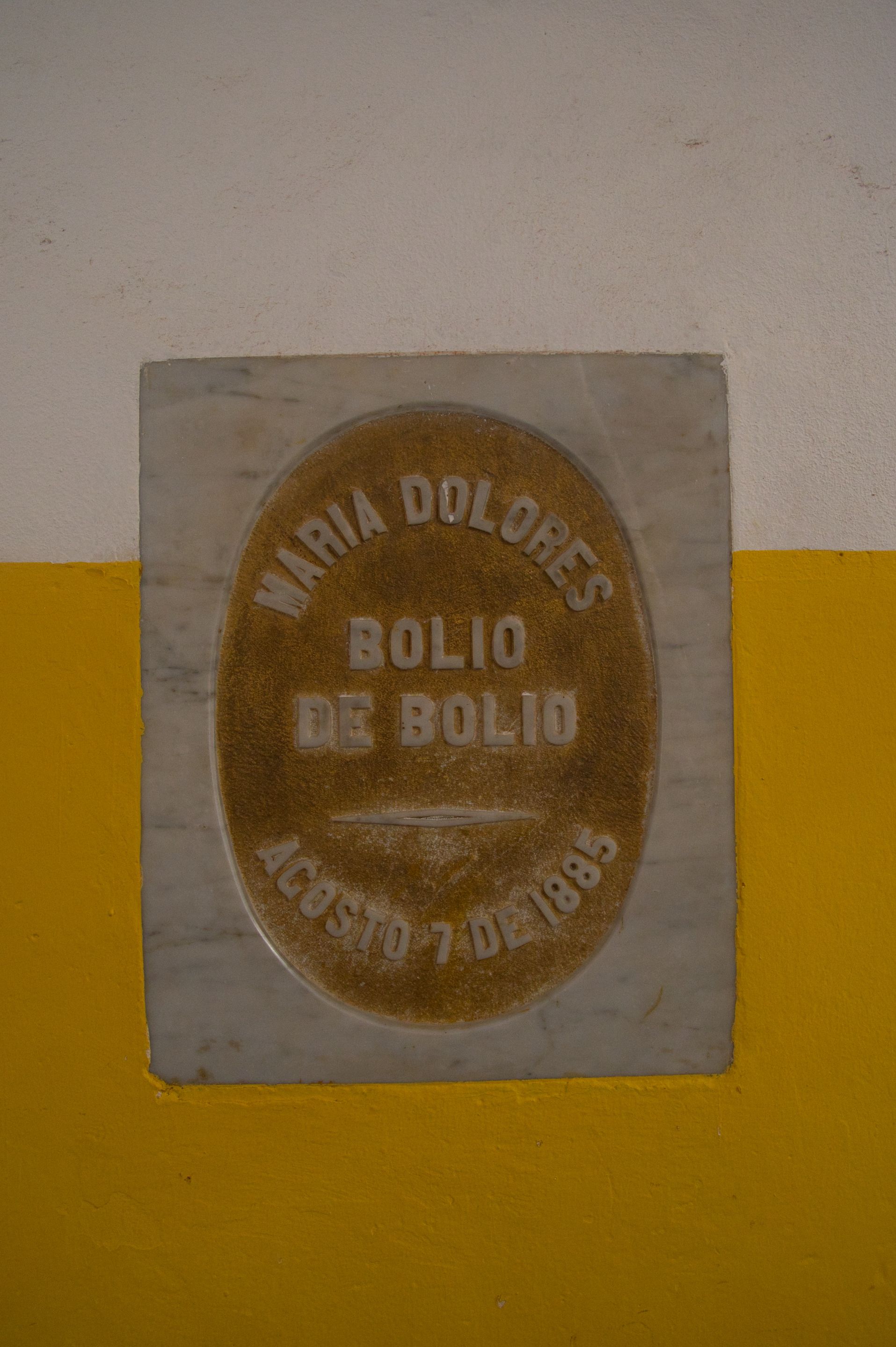 _DSC9463.jpeg