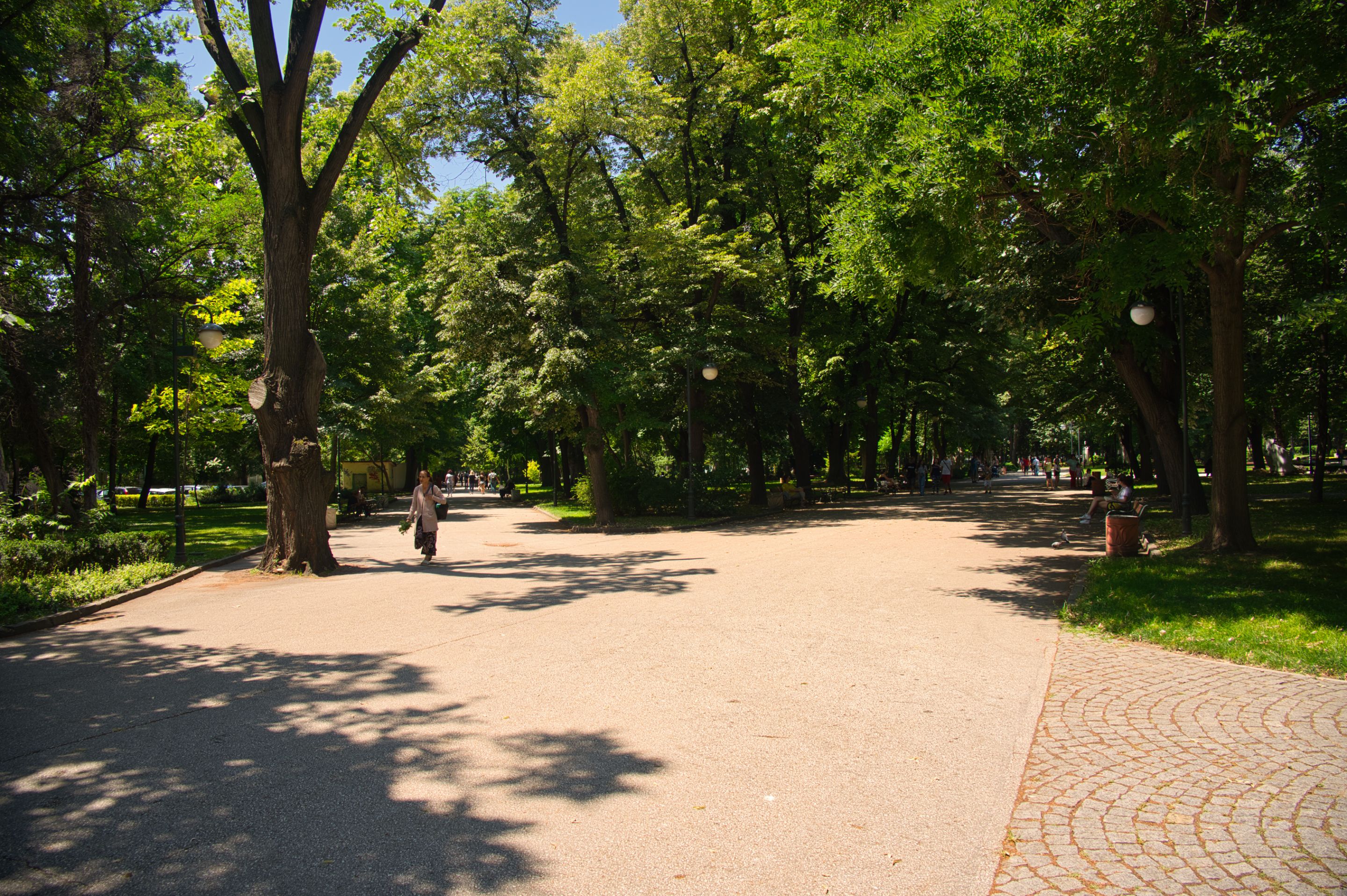 _DSC5048.jpeg