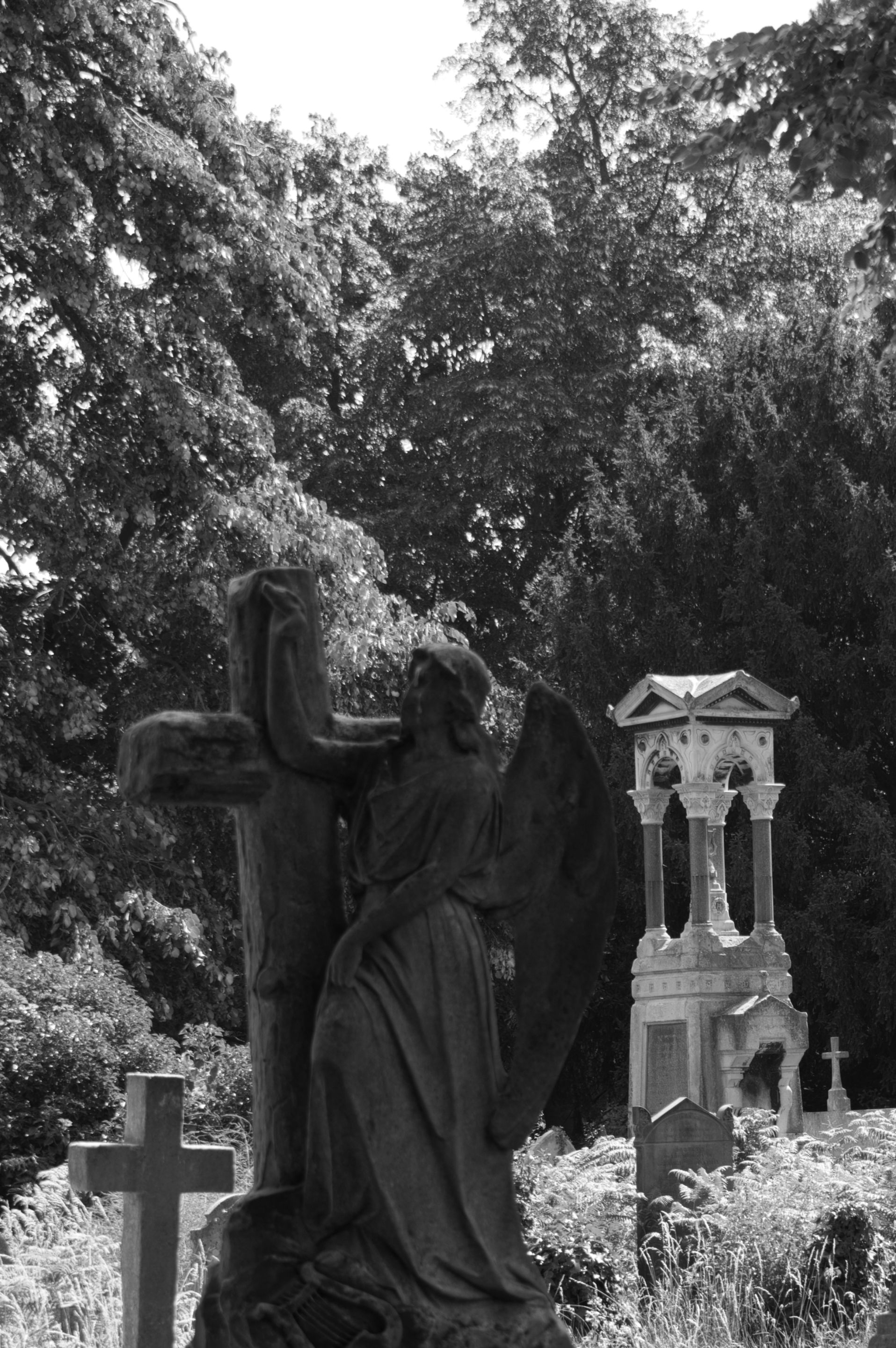 _DSC4347.jpeg