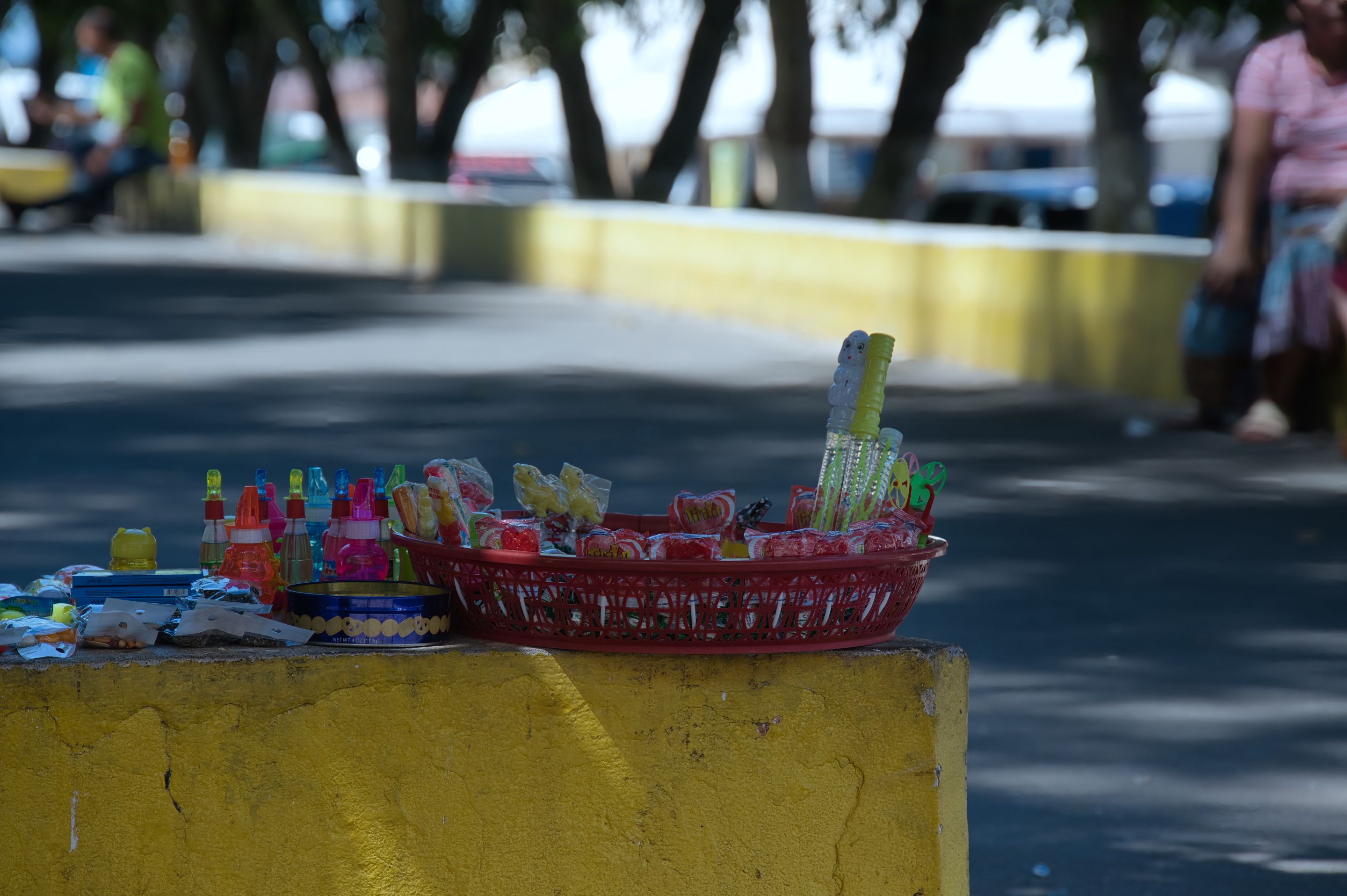 _DSC0169.jpeg