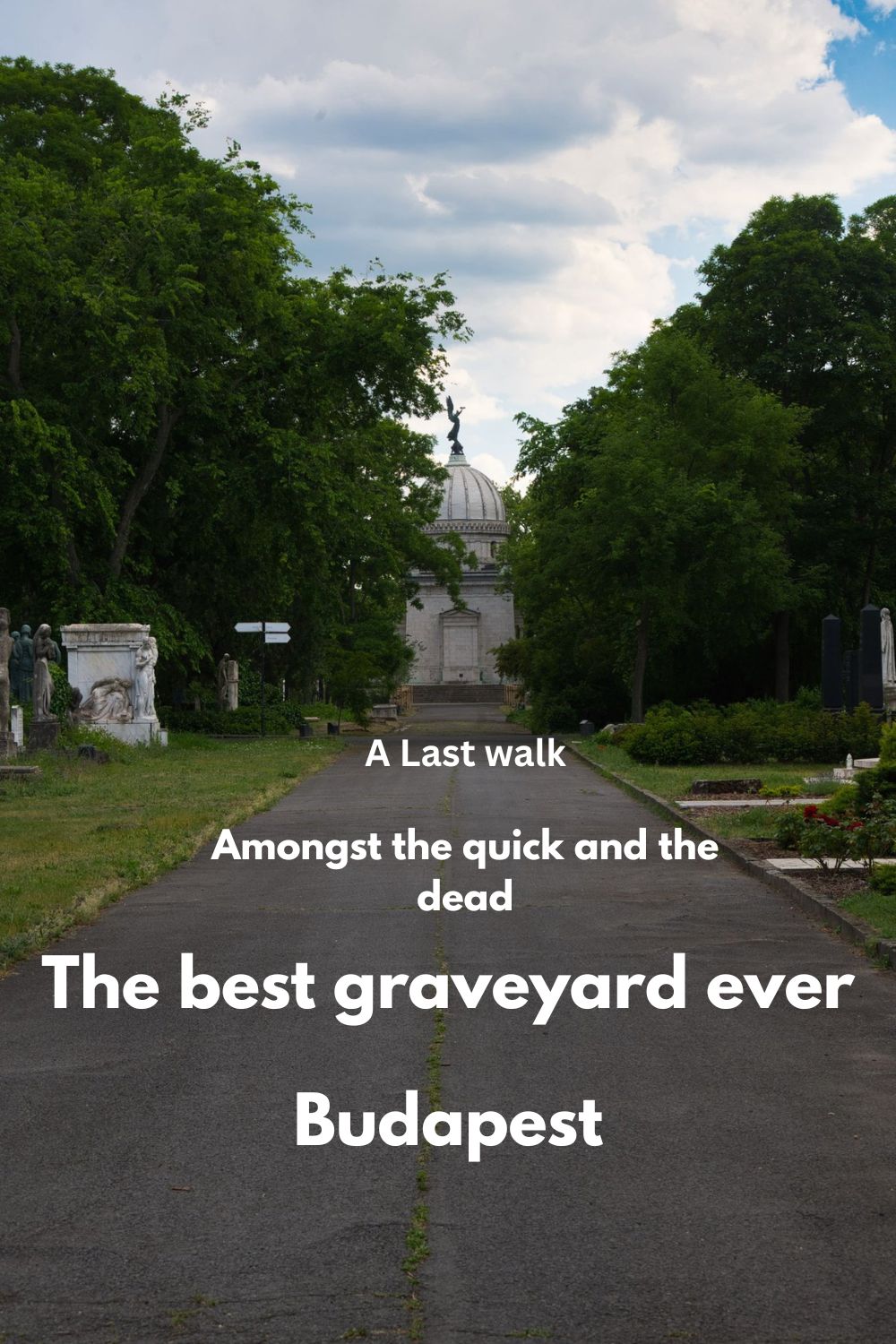 Your paragraph text.jpg