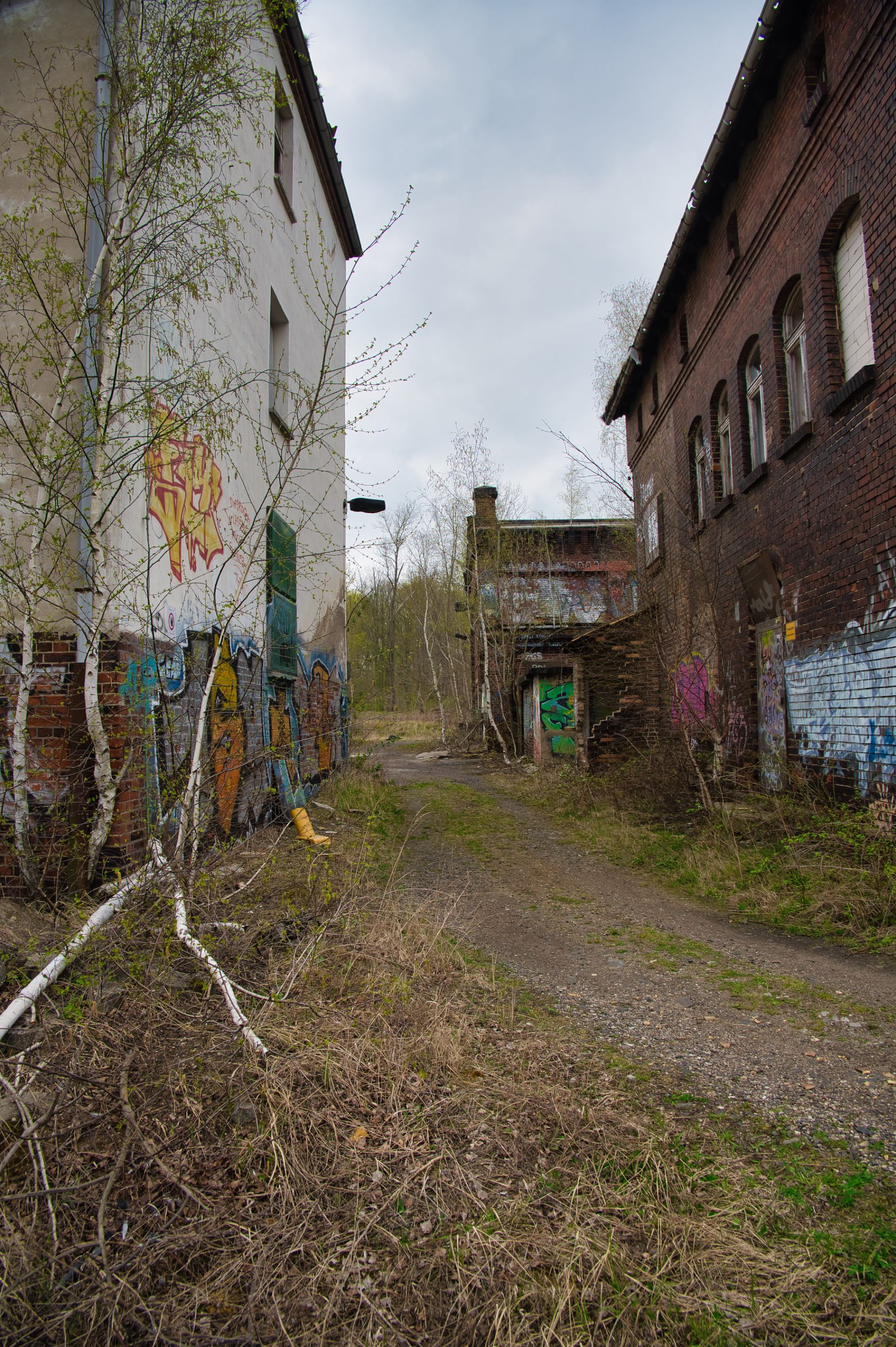 _DSC0982.jpeg