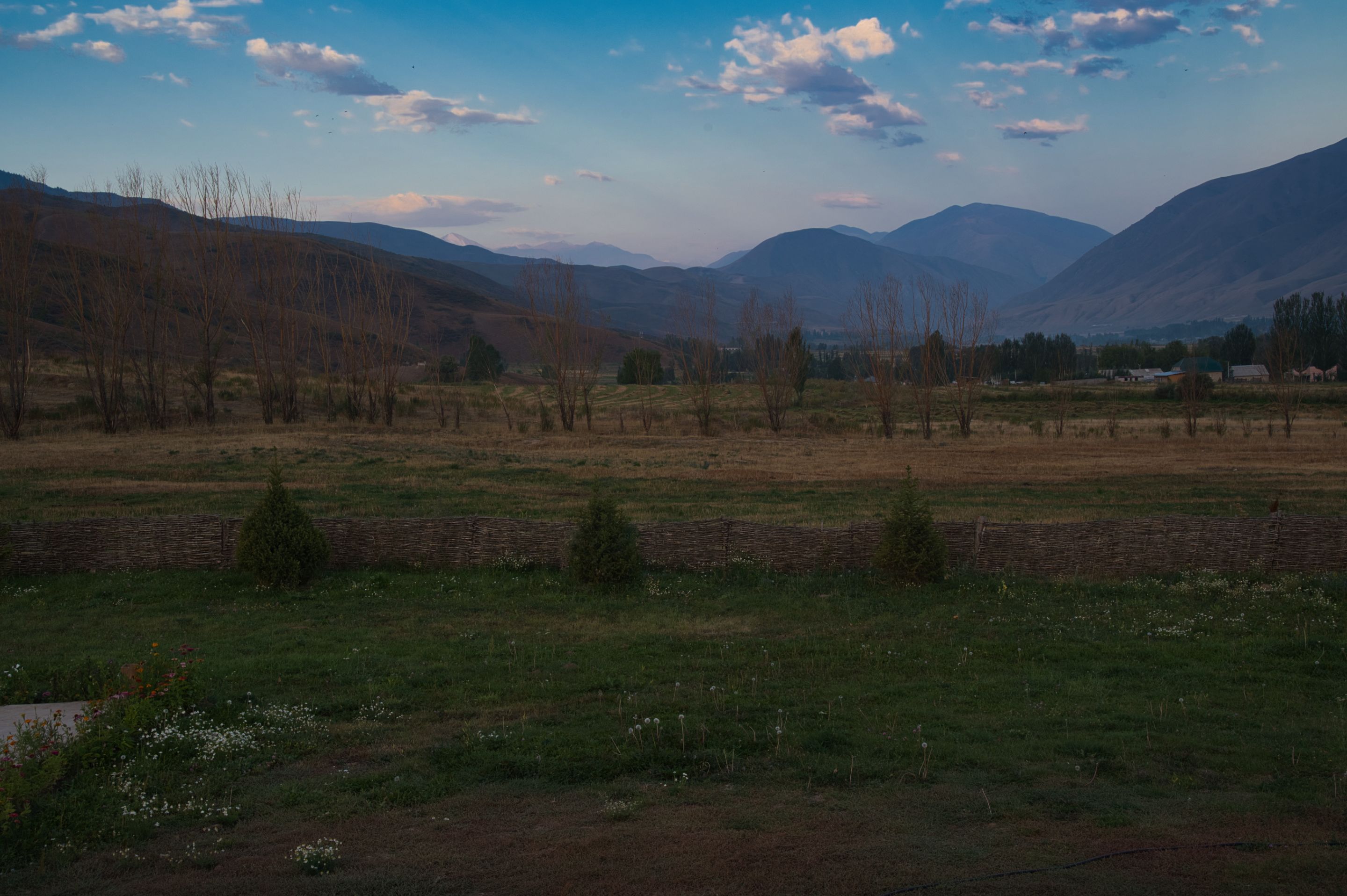 _DSC4115.jpeg