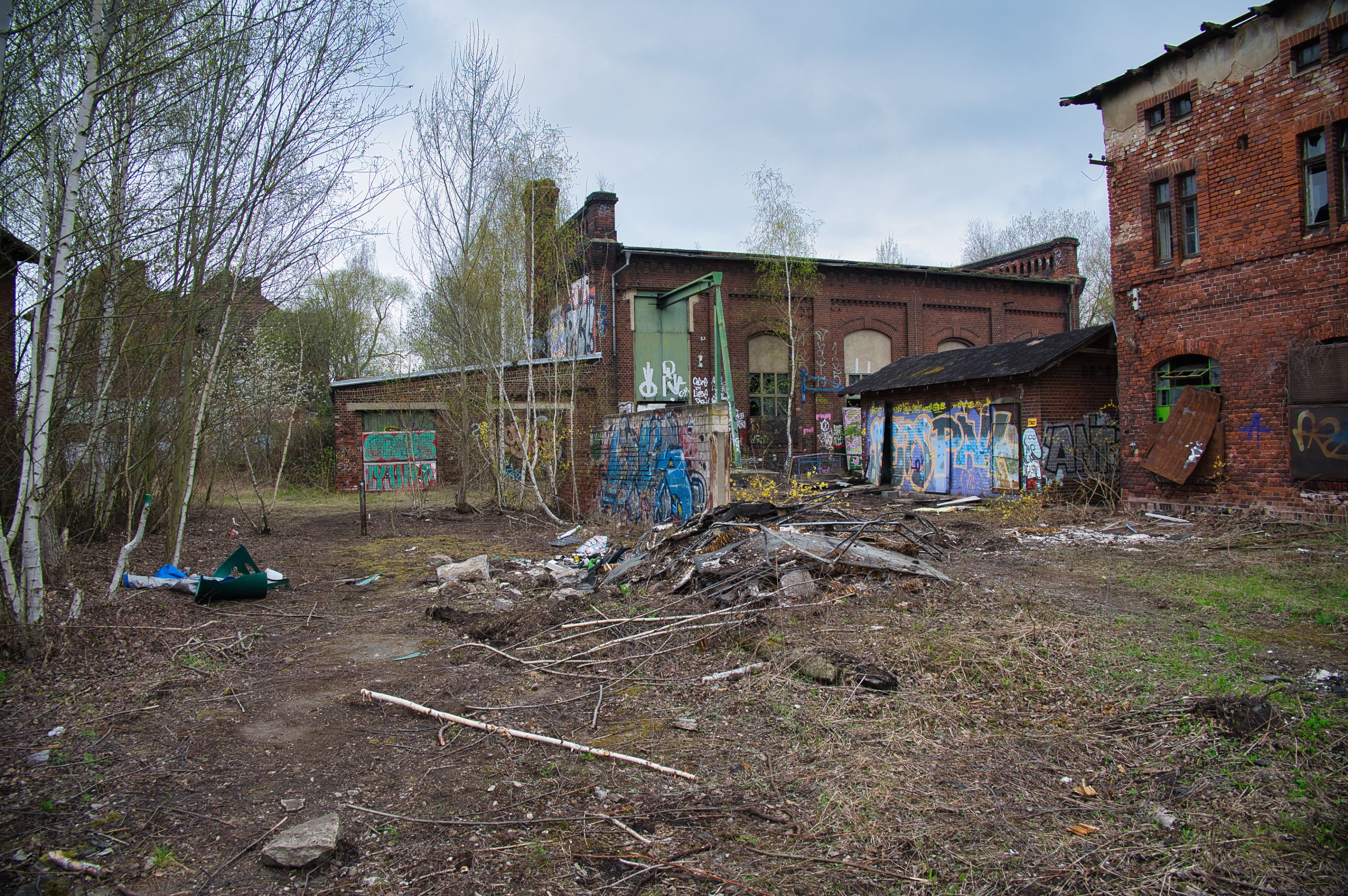 _DSC0978.jpeg