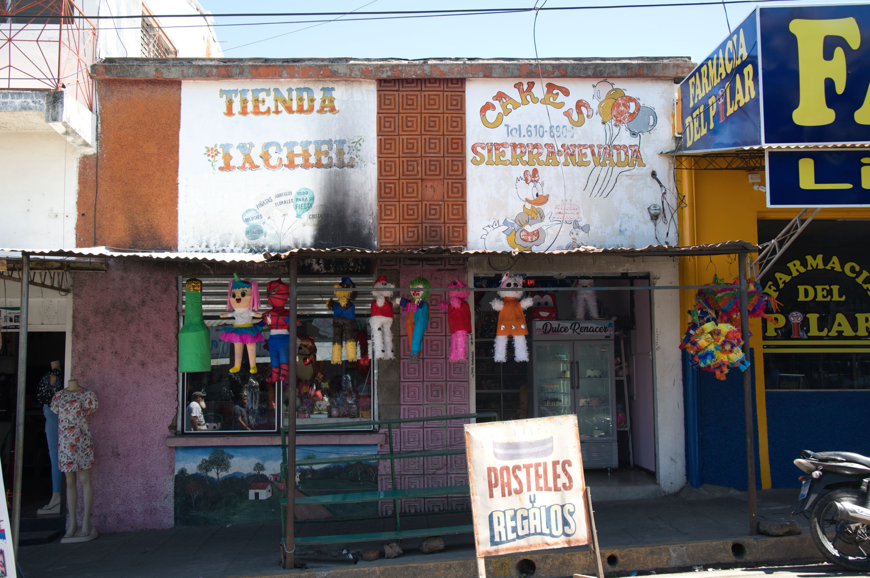 _DSC0210.jpeg