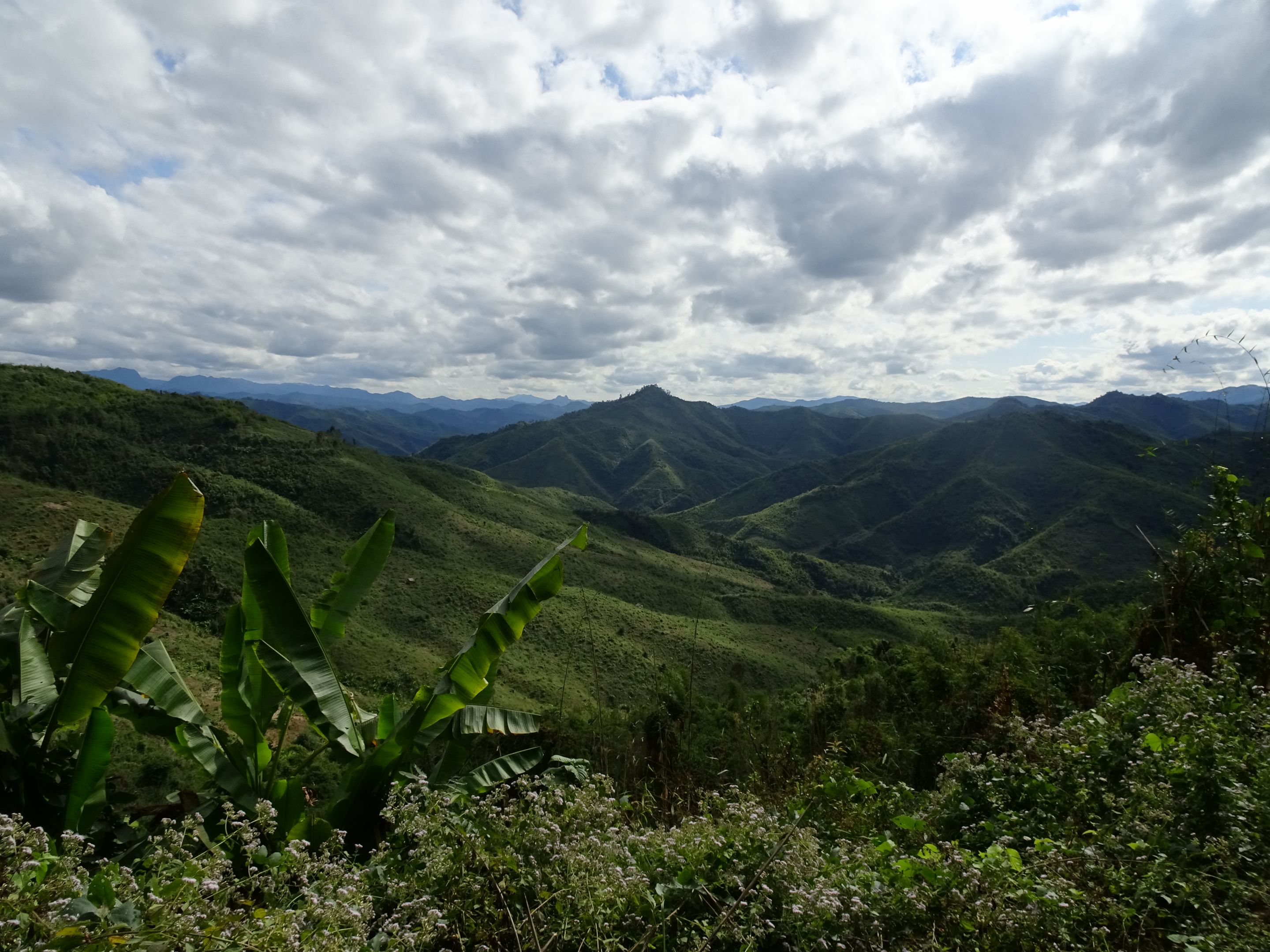 DSC00844.JPG