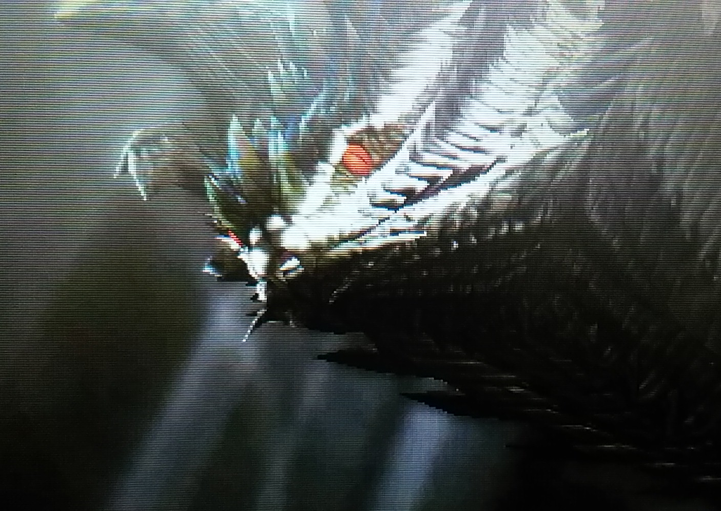 WPPnosteponsnek.png