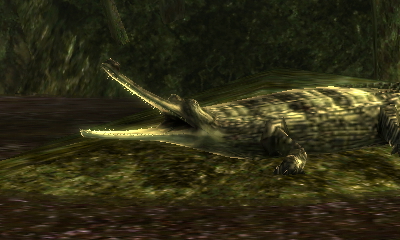 HNI_0042.JPG