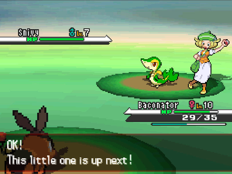 Poke14.png