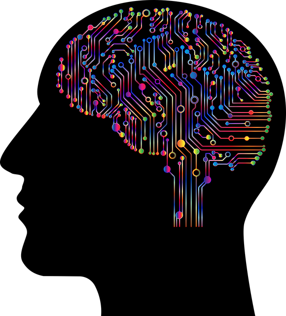 brain-4863428_640.png