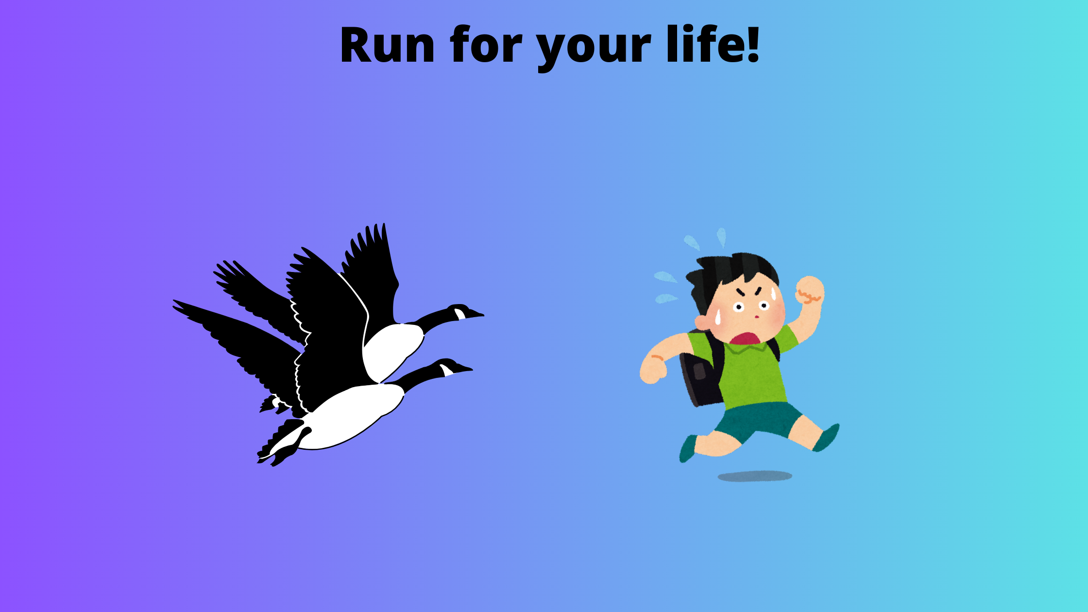 run.png