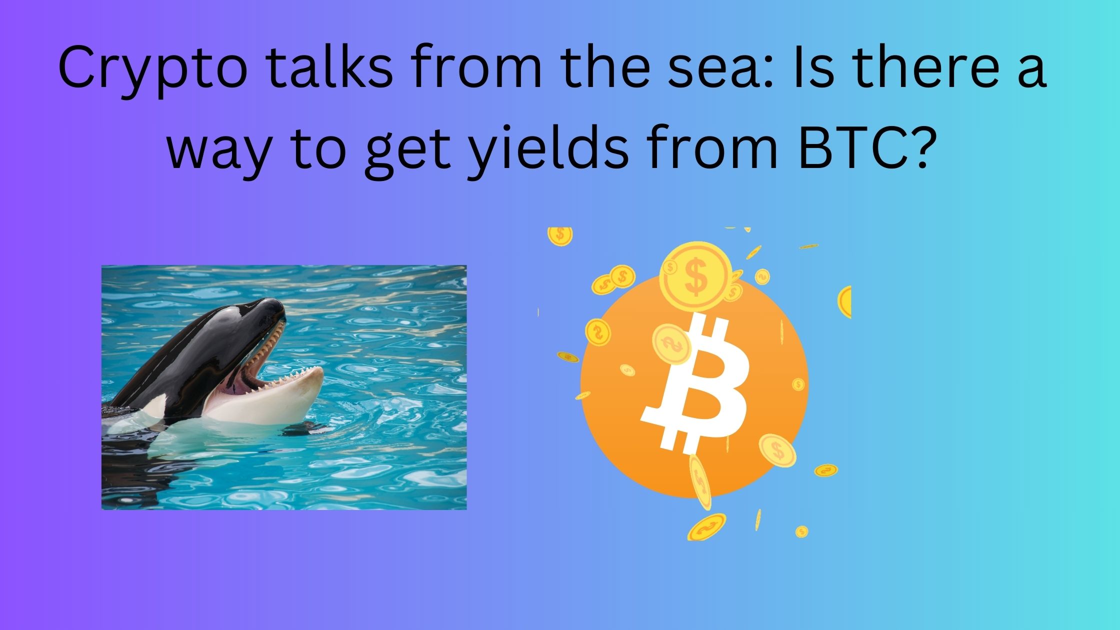 yield.jpg