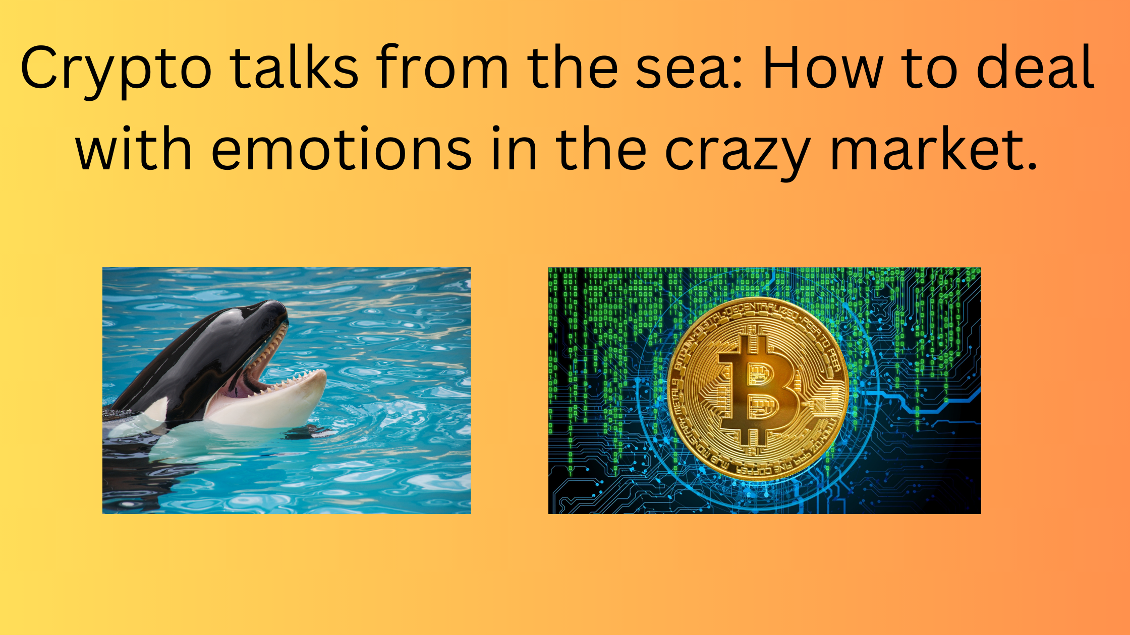 Crypto.png