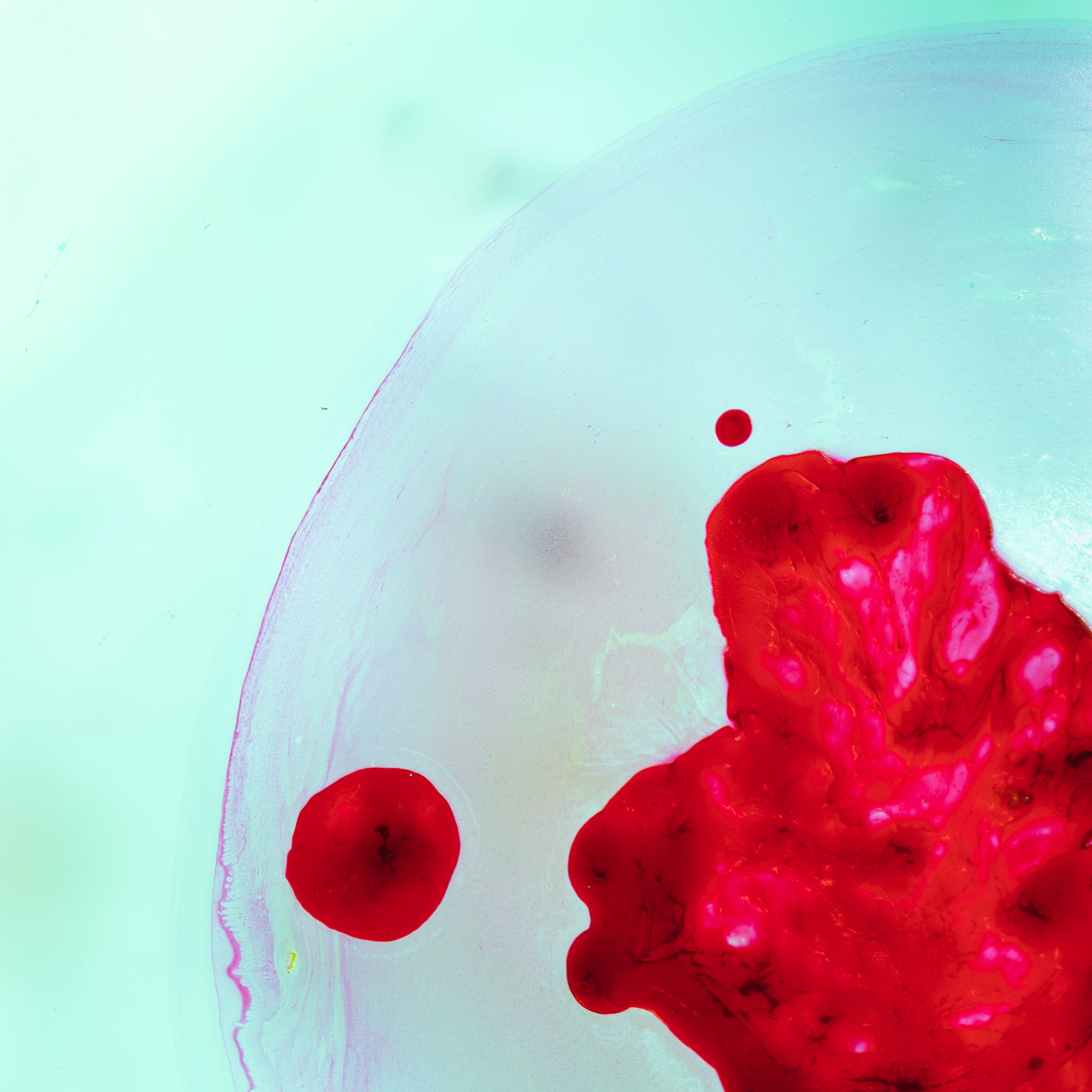copy-space-with-abstract-stains-red-goo.jpg/