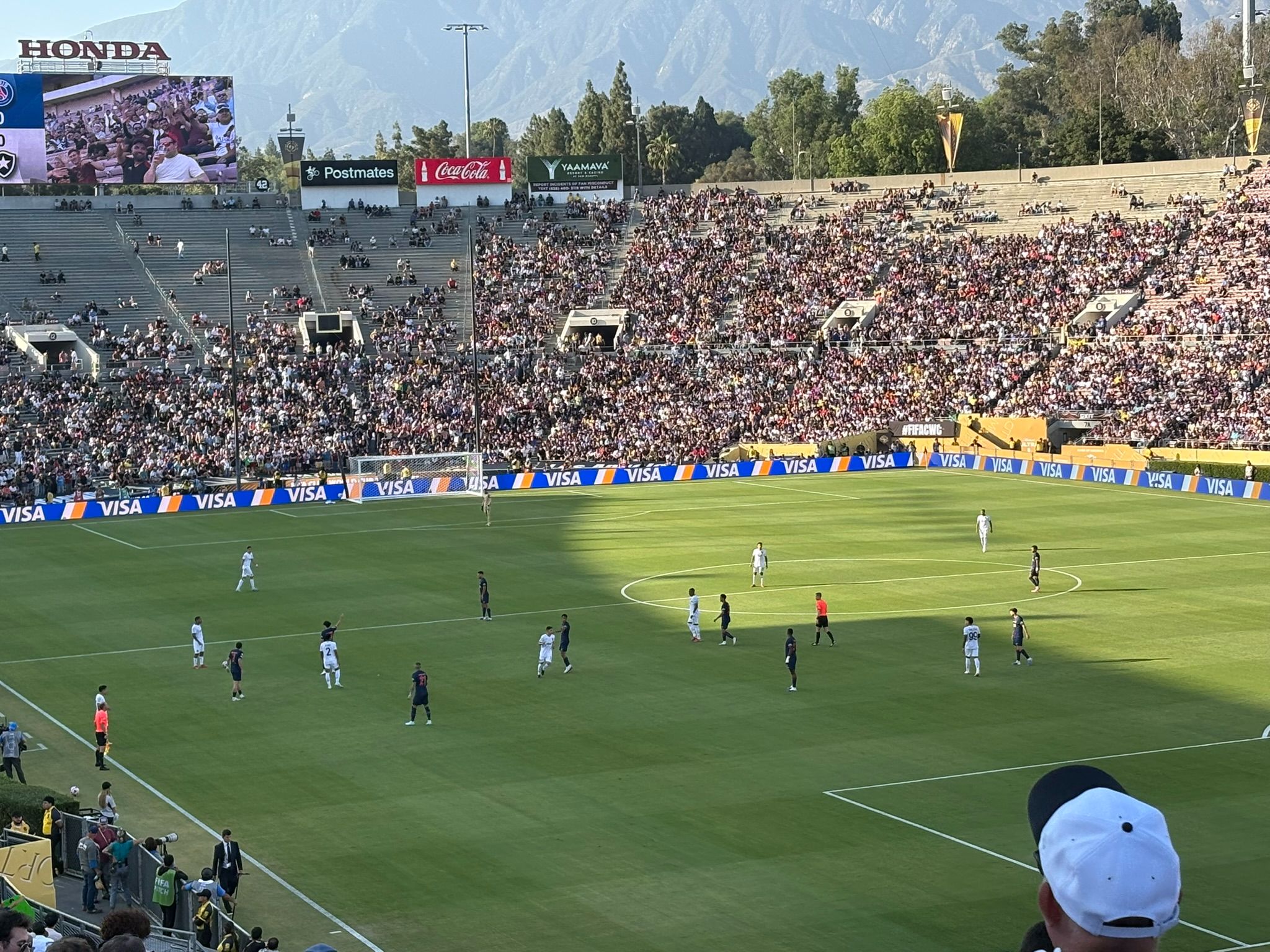 IMG_8263.JPEG