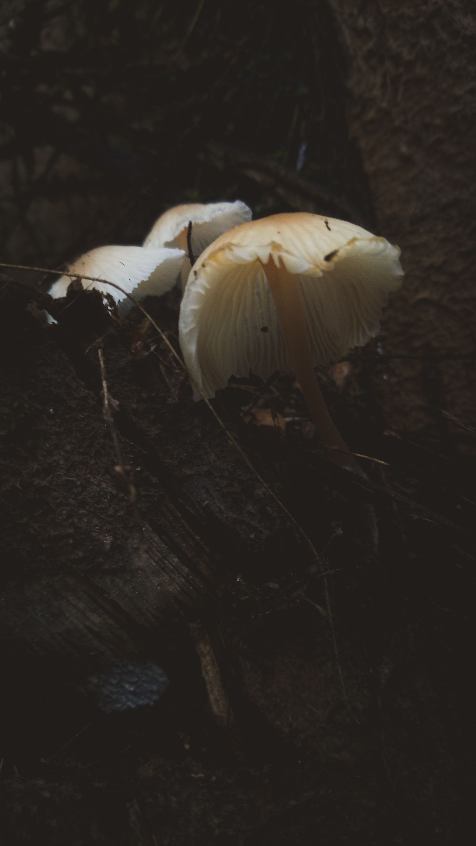 IMG20220102171934.jpg